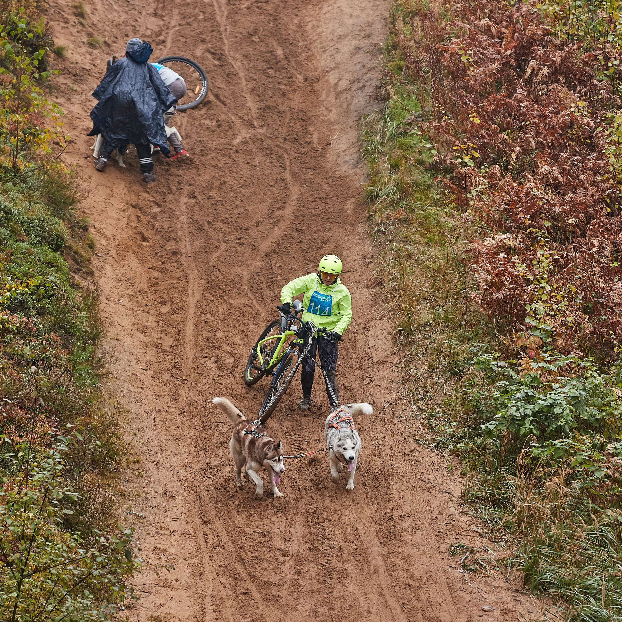 ЧЕМПИОНАТ РОССИИ РКФ 25–26 сентября 2021 г. ФОТОГРАФ-АНИМАЛИСТ l LANA POLYAKOVA