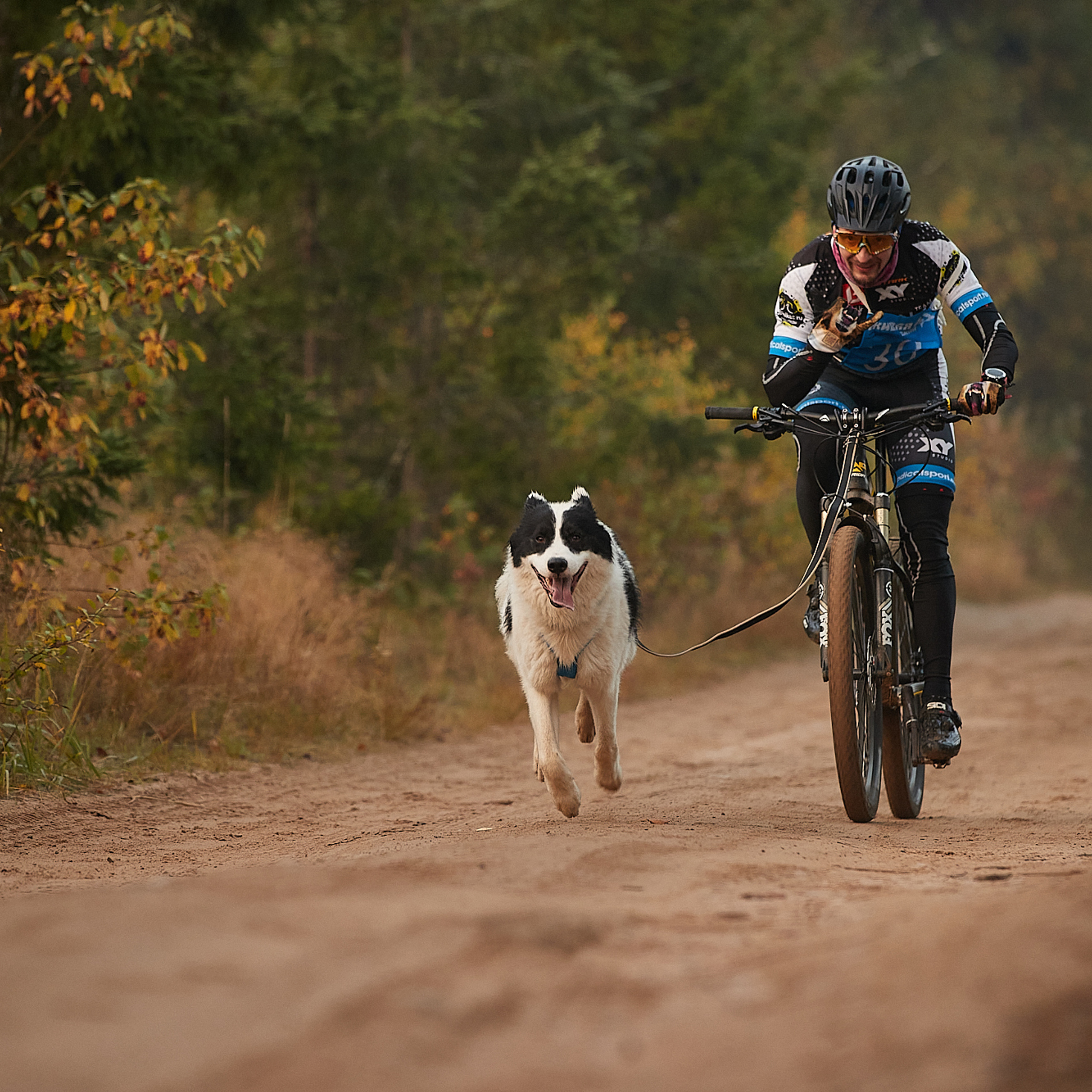 ЧЕМПИОНАТ РОССИИ РКФ 27 сентября 2020 г., 2й день. ФОТОГРАФ-АНИМАЛИСТ l LANA POLYAKOVA