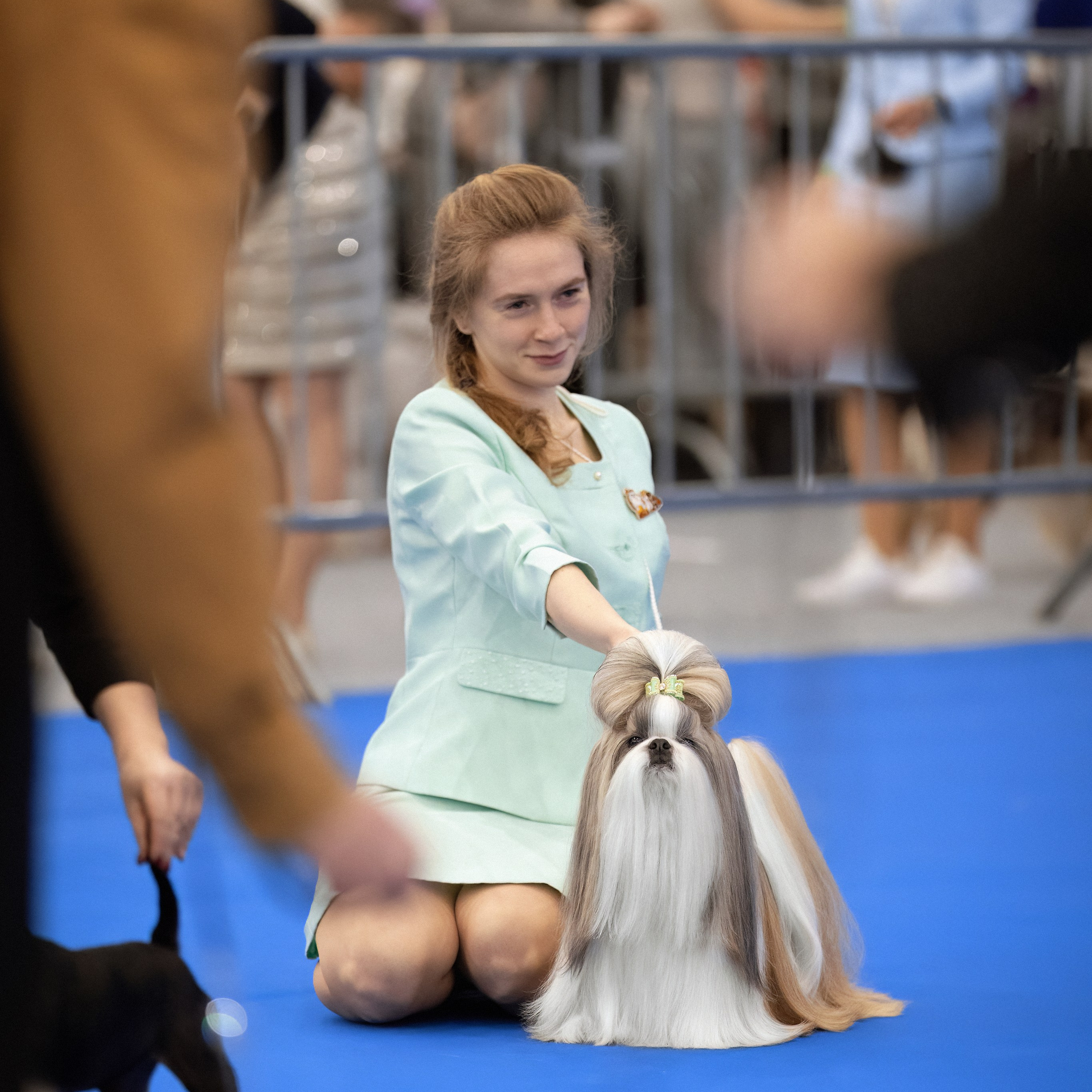 ВЫСТАВКА СОБАК С ОСОБЫМ СТАТУСОМ «НЕВСКИЙ ПОБЕДИТЕЛЬ» 12-13-14.12.2025. ФОТОГРАФ-АНИМАЛИСТ l LANA POLYAKOVA