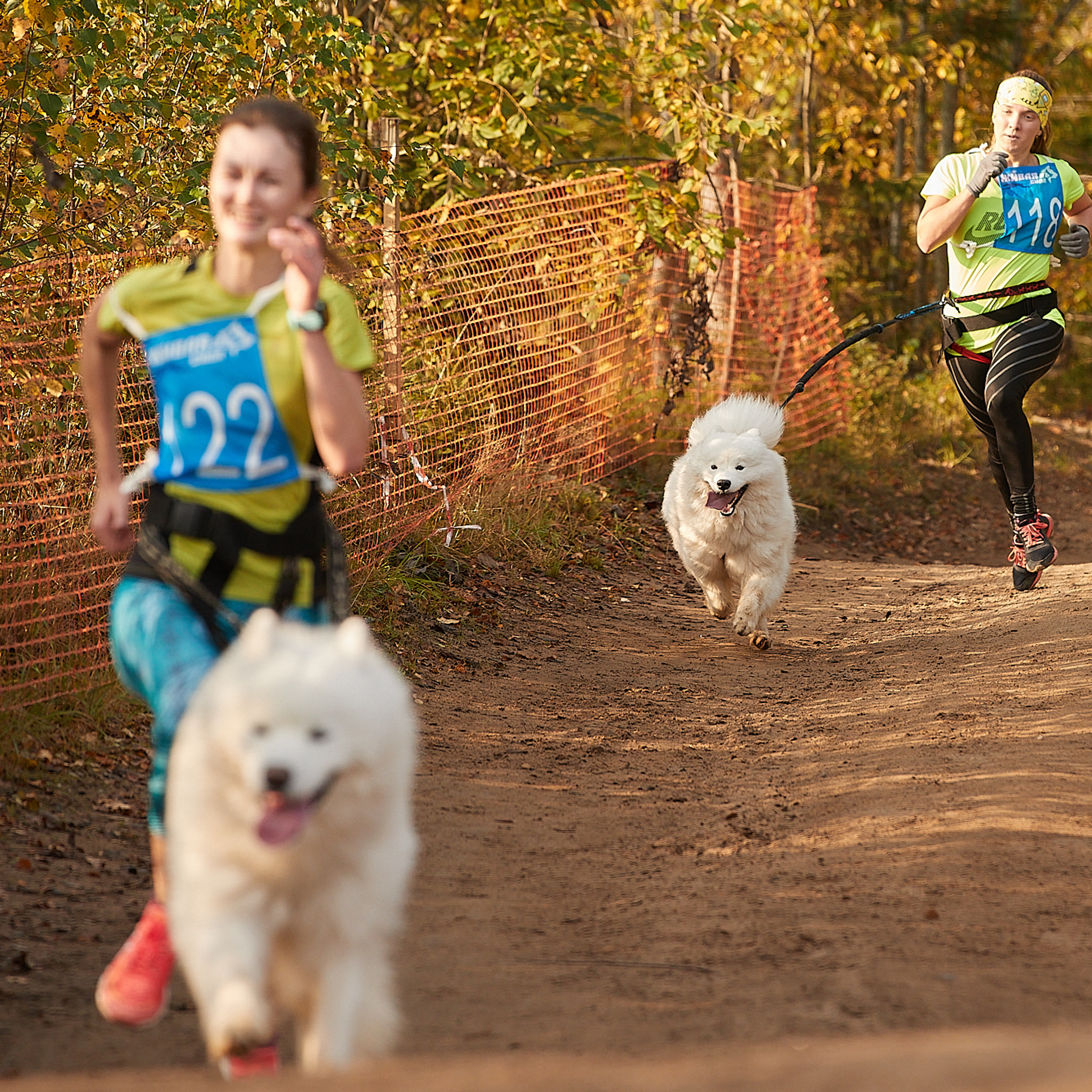ЧЕМПИОНАТ РОССИИ РКФ 27 сентября 2020 г., 2й день. ФОТОГРАФ-АНИМАЛИСТ l LANA POLYAKOVA