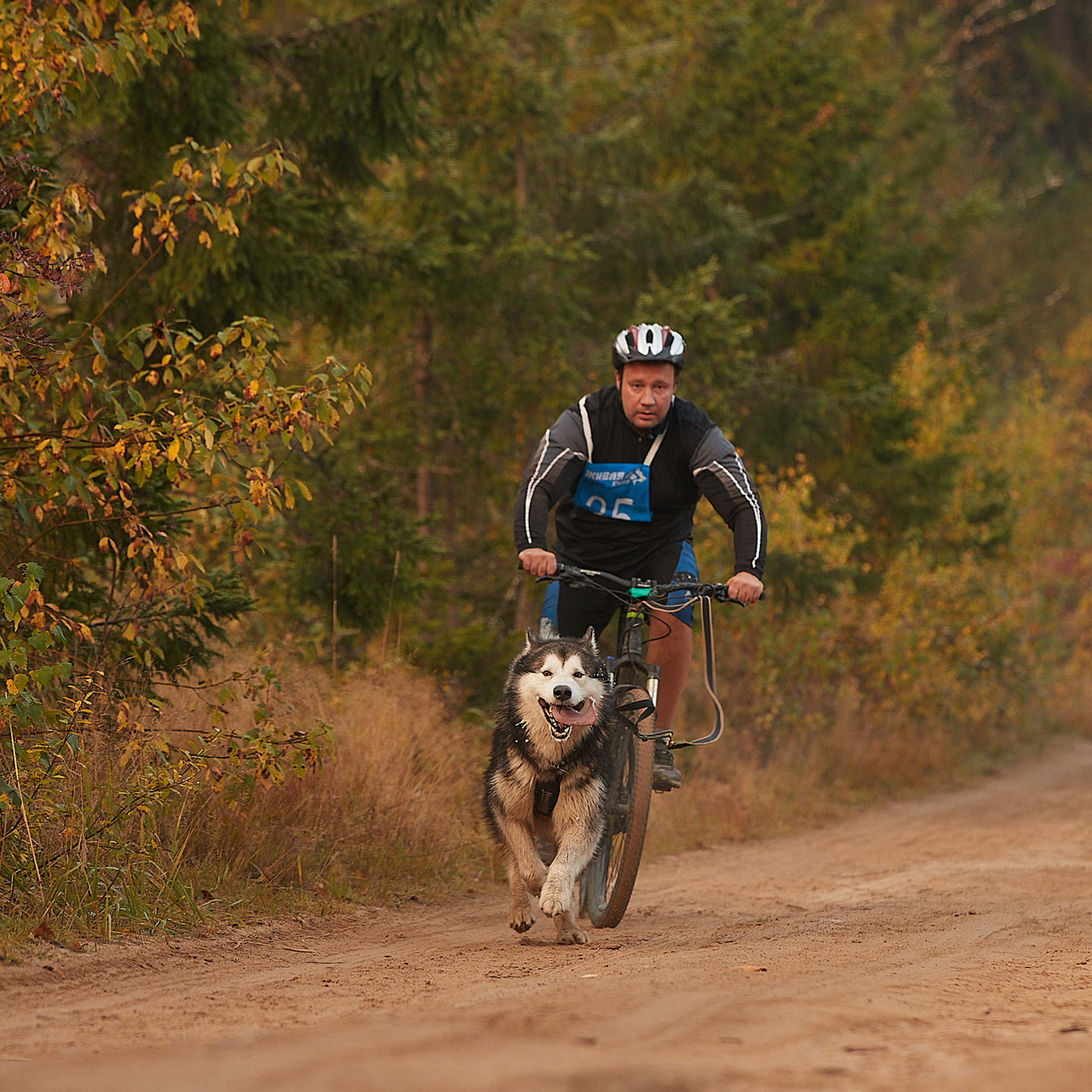 ЧЕМПИОНАТ РОССИИ РКФ 27 сентября 2020 г., 2й день. ФОТОГРАФ-АНИМАЛИСТ l LANA POLYAKOVA