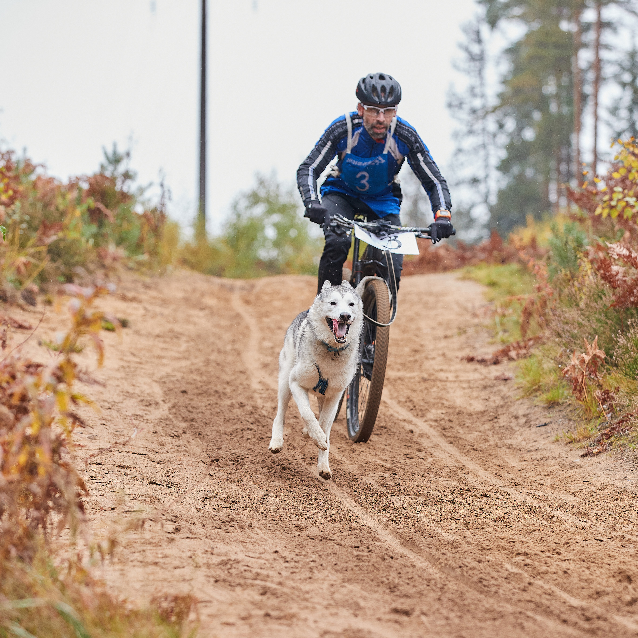 ЧЕМПИОНАТ РОССИИ РКФ 25–26 сентября 2021 г. ФОТОГРАФ-АНИМАЛИСТ l LANA POLYAKOVA