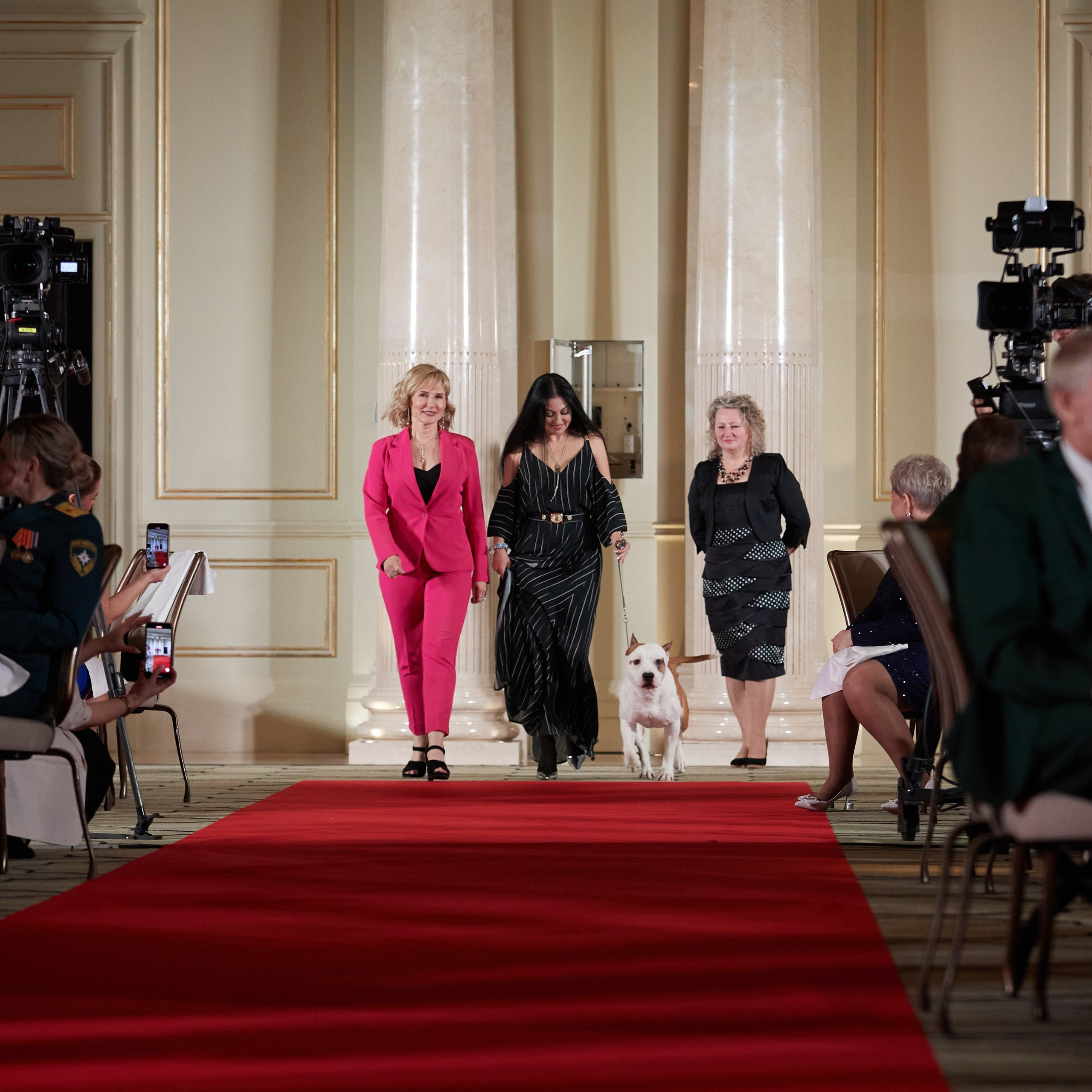 Репортаж с церемонии «BEST RUSSIAN DOG 2023». ФОТОГРАФ-АНИМАЛИСТ l LANA POLYAKOVA