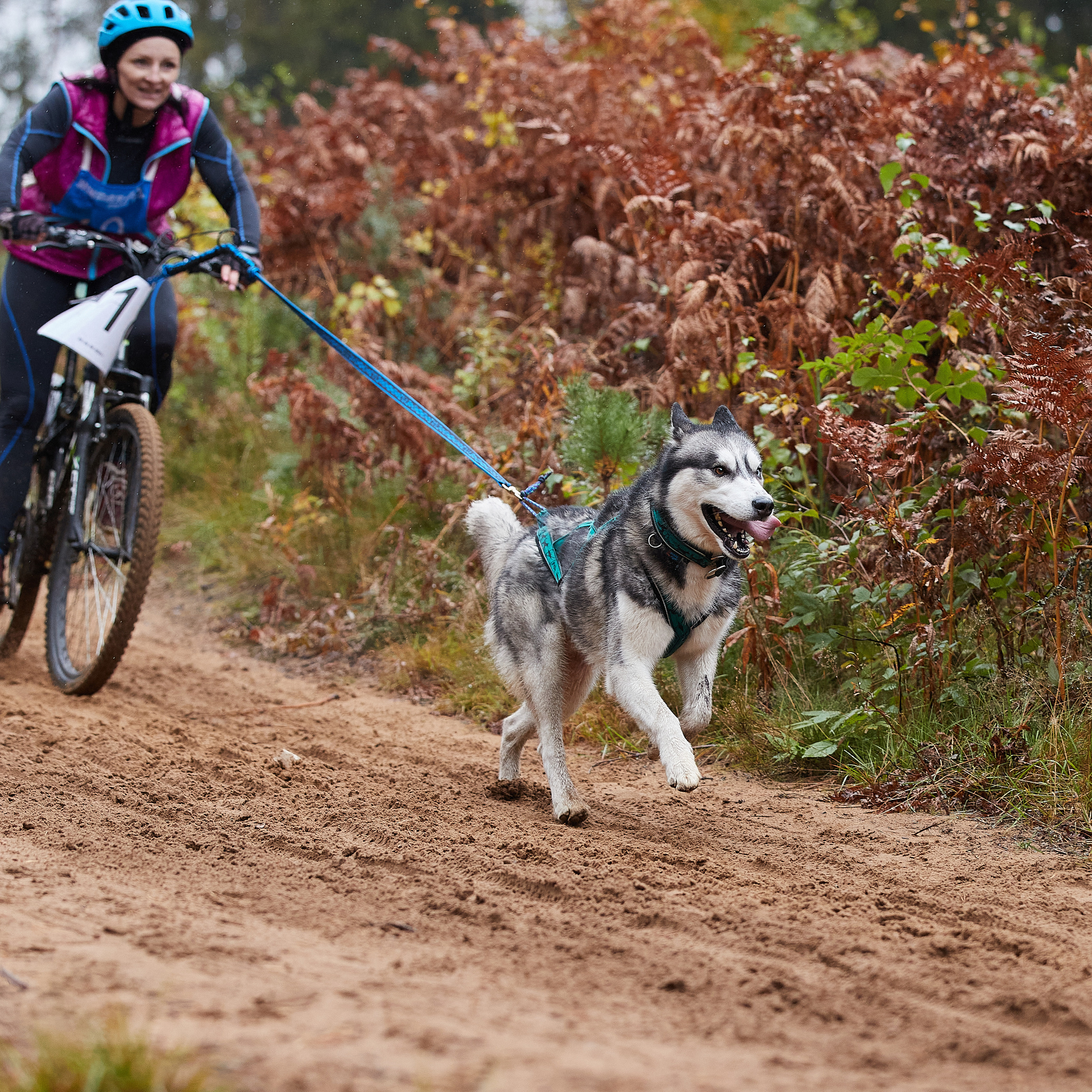 ЧЕМПИОНАТ РОССИИ РКФ 25–26 сентября 2021 г. ФОТОГРАФ-АНИМАЛИСТ l LANA POLYAKOVA