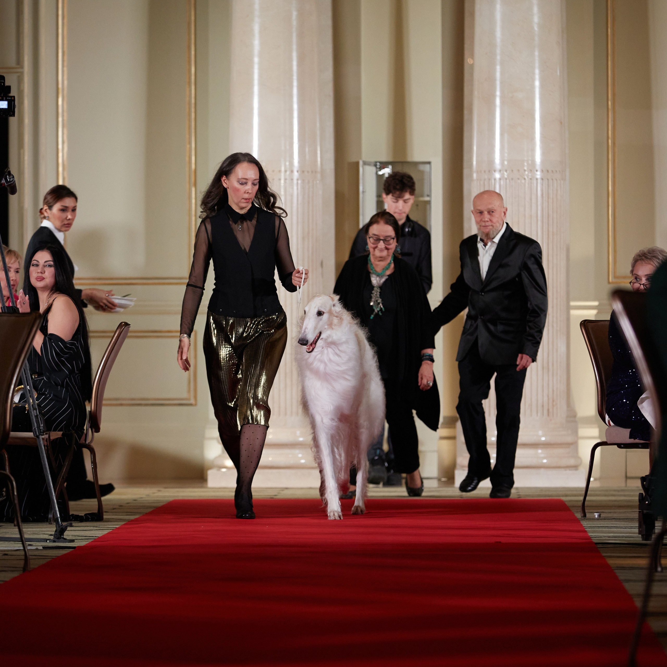 Репортаж с церемонии «BEST RUSSIAN DOG 2023». ФОТОГРАФ-АНИМАЛИСТ l LANA POLYAKOVA