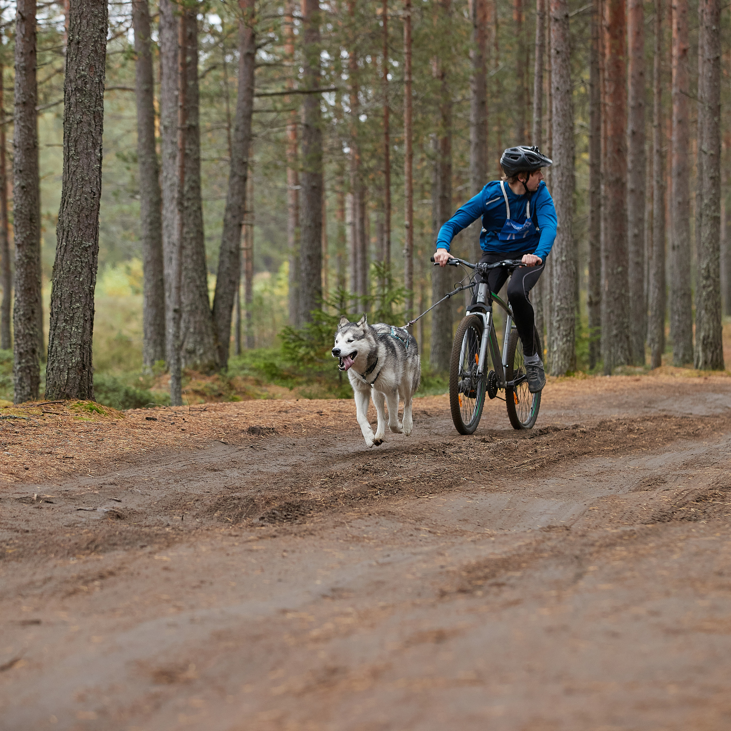 ЧЕМПИОНАТ РОССИИ РКФ 25–26 сентября 2021 г. ФОТОГРАФ-АНИМАЛИСТ l LANA POLYAKOVA