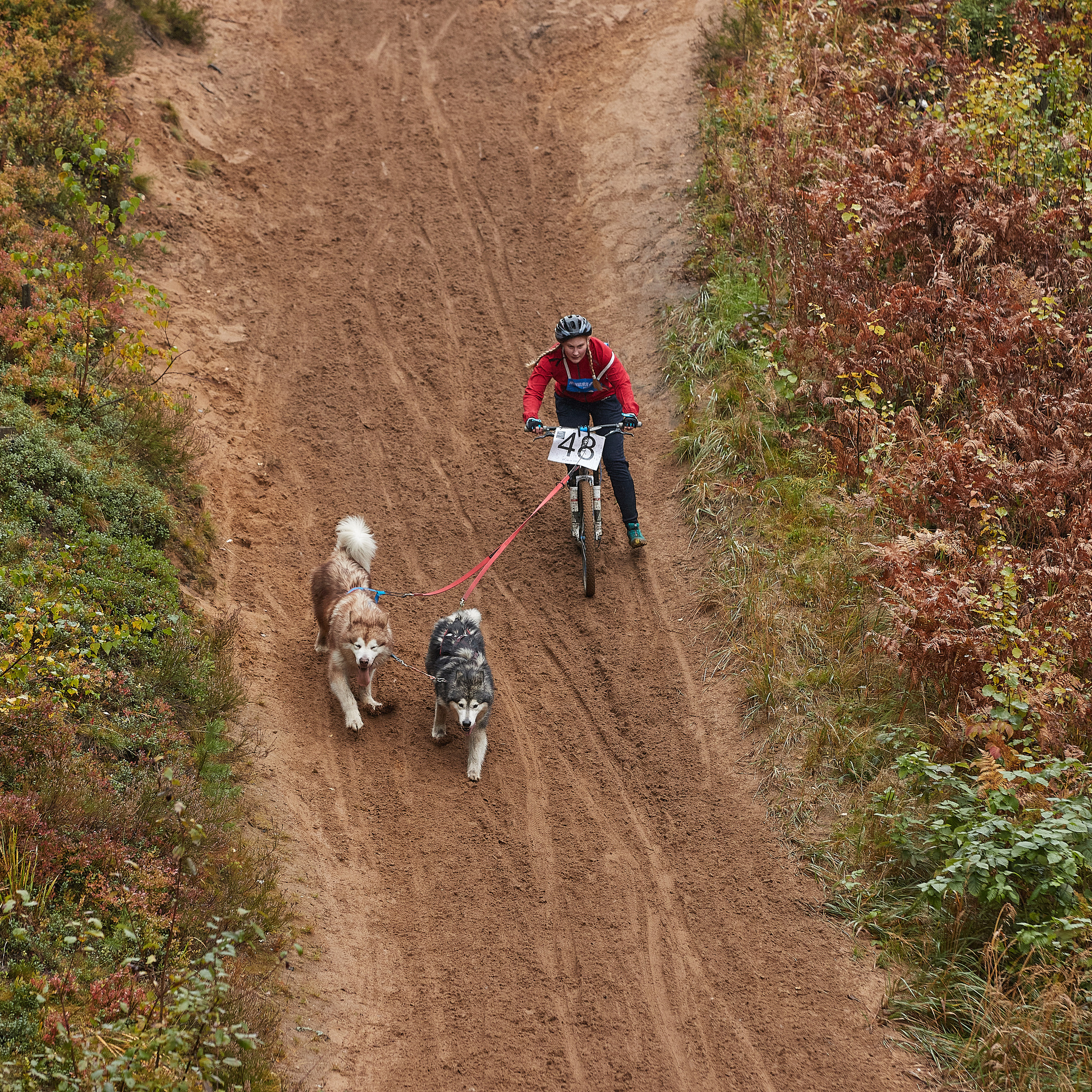 ЧЕМПИОНАТ РОССИИ РКФ 25–26 сентября 2021 г. ФОТОГРАФ-АНИМАЛИСТ l LANA POLYAKOVA