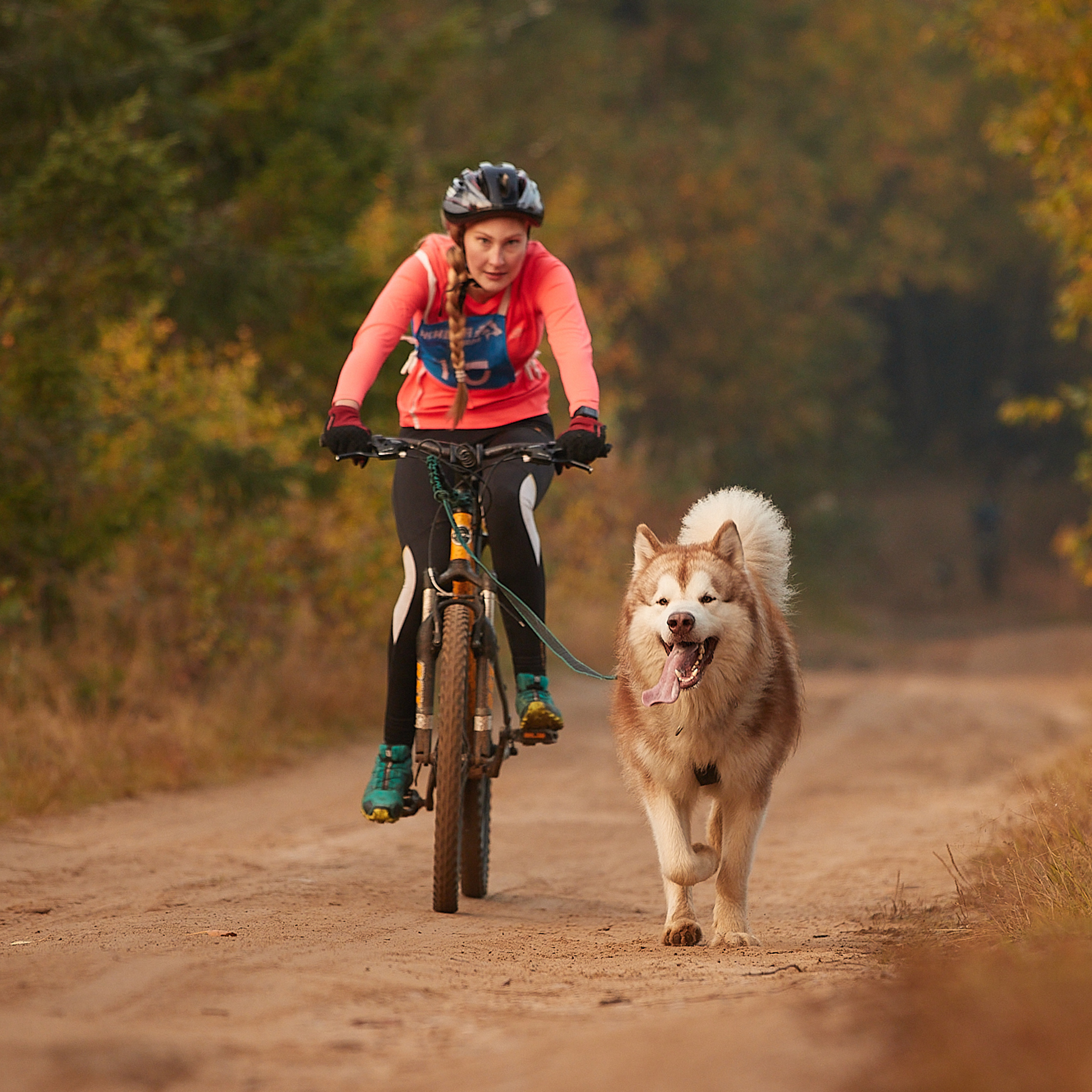 ЧЕМПИОНАТ РОССИИ РКФ 27 сентября 2020 г., 2й день. ФОТОГРАФ-АНИМАЛИСТ l LANA POLYAKOVA