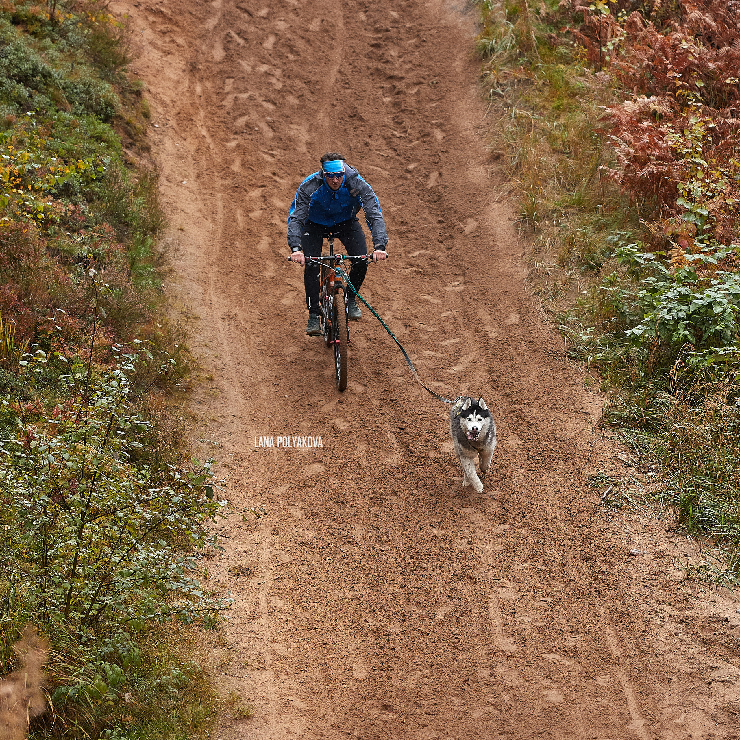 ЧЕМПИОНАТ РОССИИ РКФ 25–26 сентября 2021 г. ФОТОГРАФ-АНИМАЛИСТ l LANA POLYAKOVA