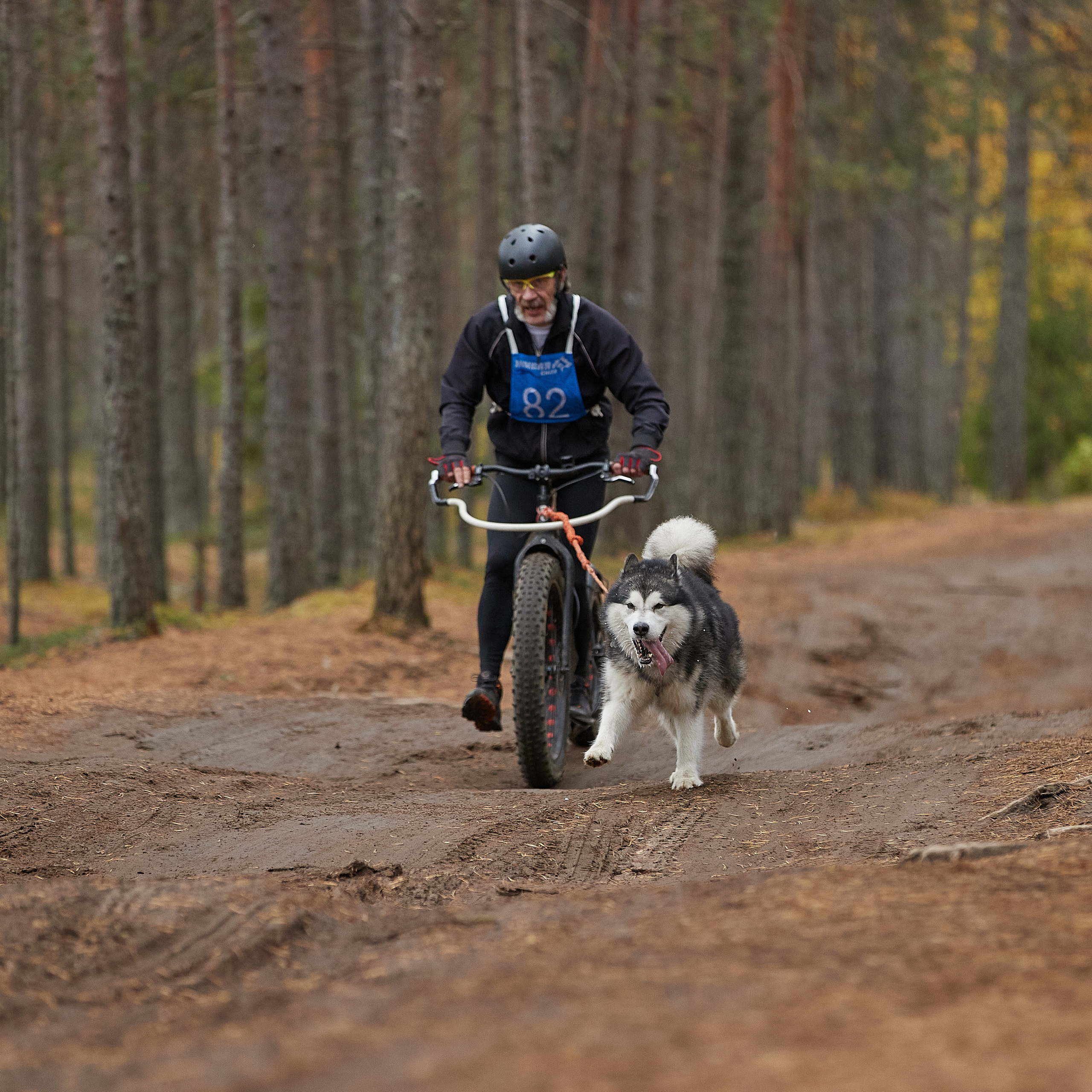 ЧЕМПИОНАТ РОССИИ РКФ 25–26 сентября 2021 г. ФОТОГРАФ-АНИМАЛИСТ l LANA POLYAKOVA