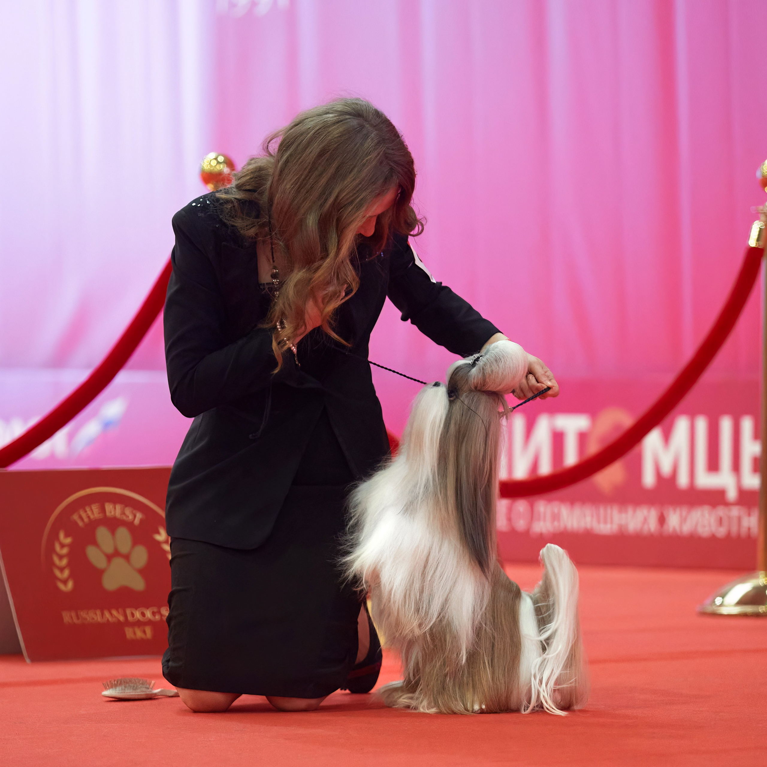 Шоу чемпионов «ЛУЧШИЕ СОБАКИ РОССИИ». ФОТОГРАФ-АНИМАЛИСТ l LANA POLYAKOVA