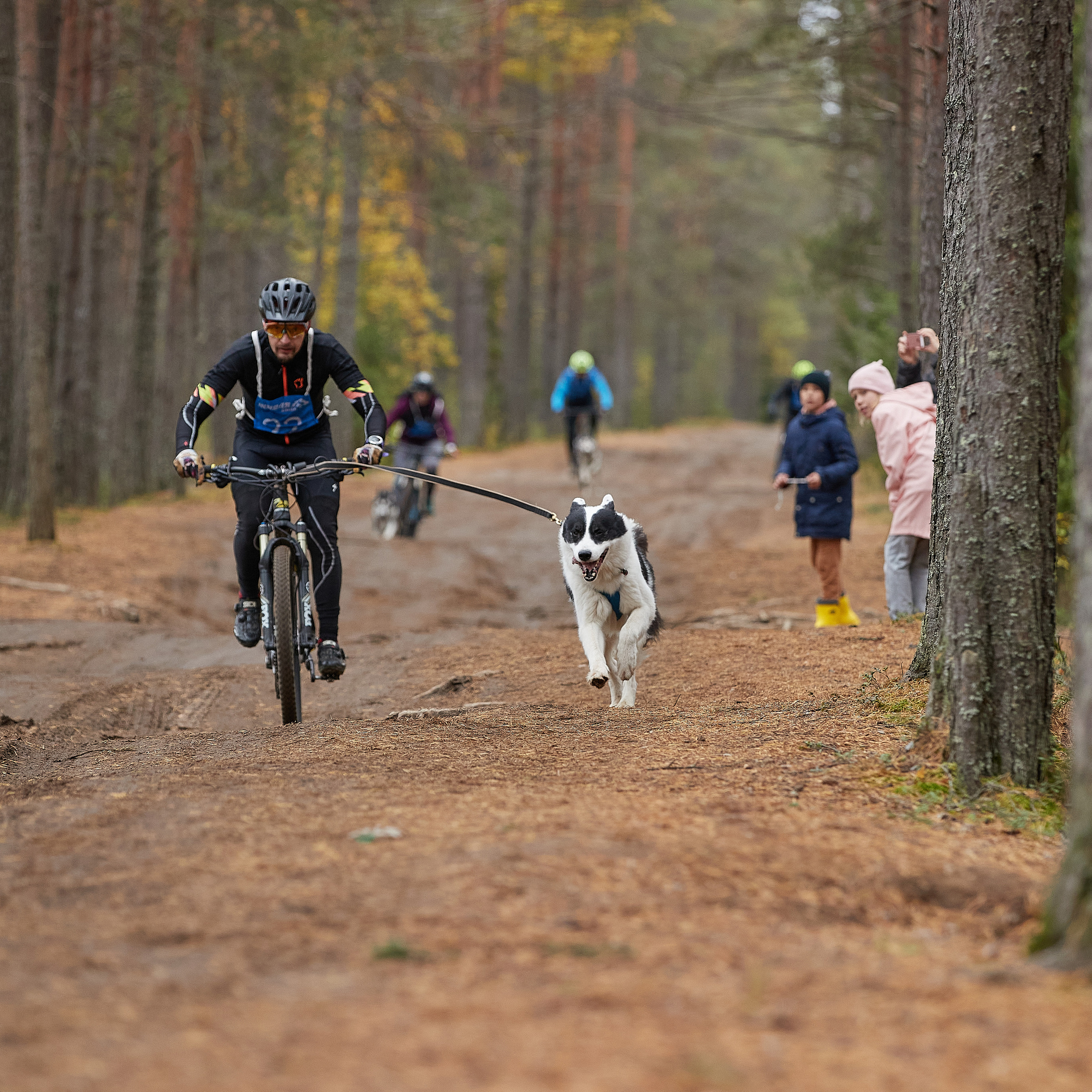 ЧЕМПИОНАТ РОССИИ РКФ 25–26 сентября 2021 г. ФОТОГРАФ-АНИМАЛИСТ l LANA POLYAKOVA