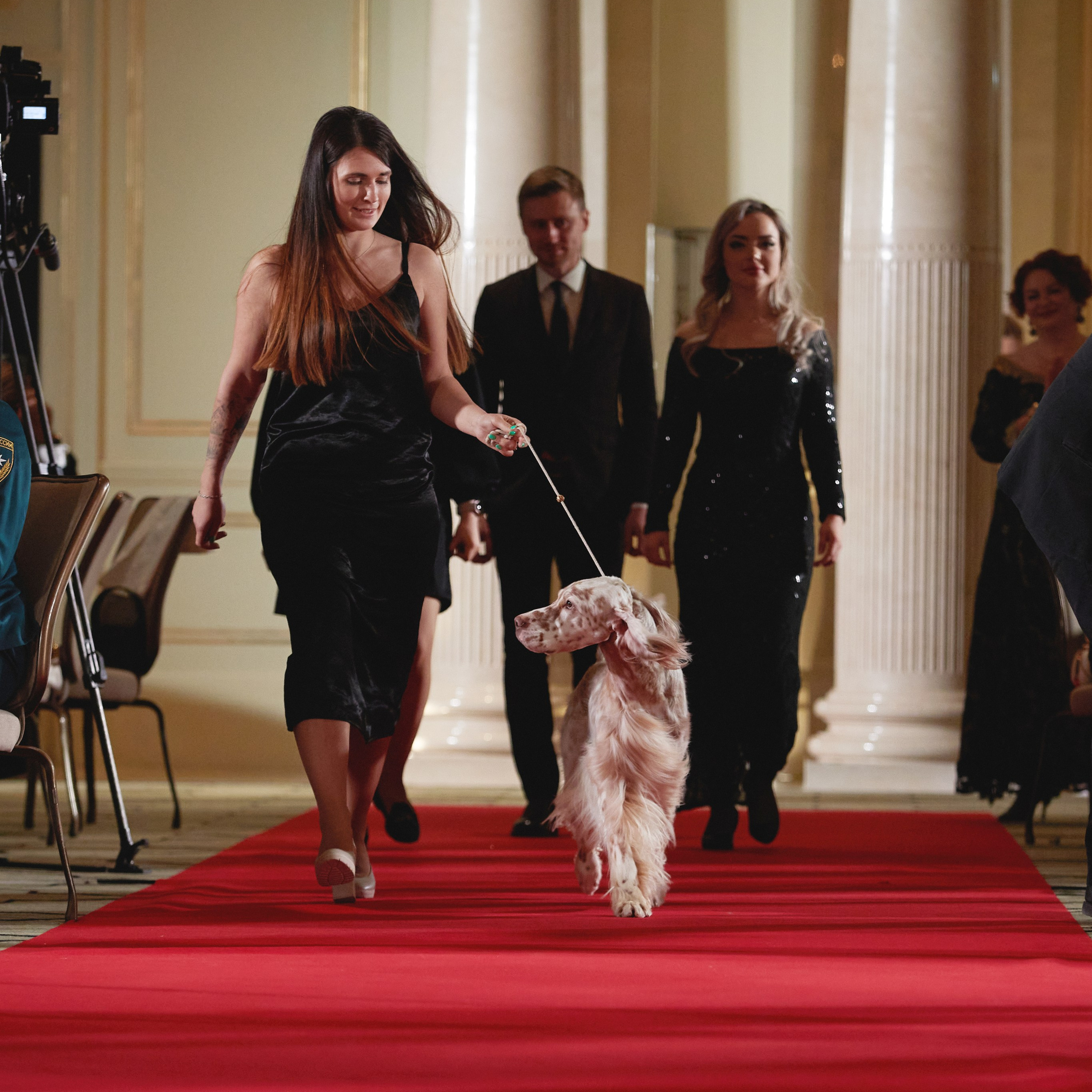 Репортаж с церемонии «BEST RUSSIAN DOG 2023». ФОТОГРАФ-АНИМАЛИСТ l LANA POLYAKOVA