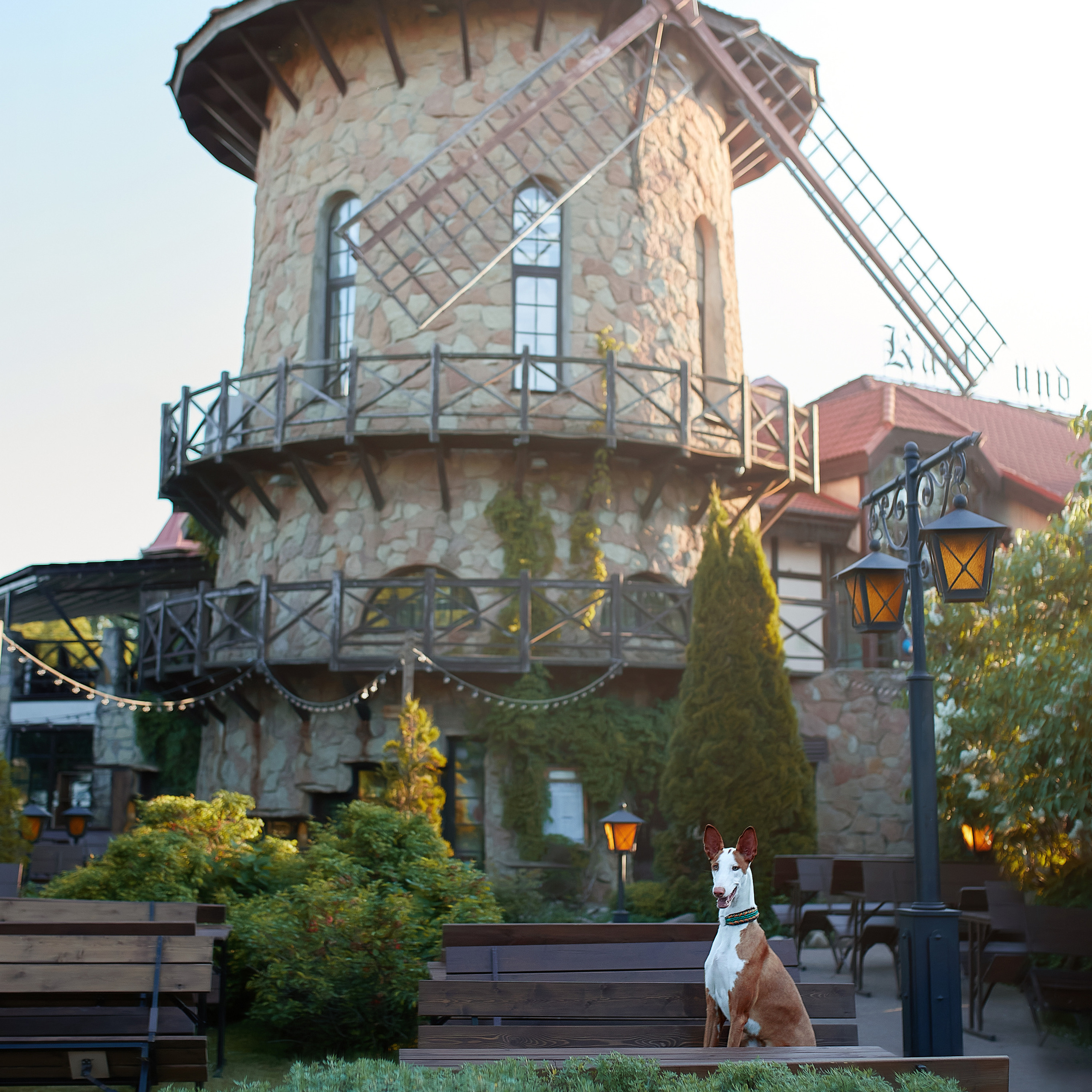 Фотопрогулка для Найроби. ФОТОГРАФ-АНИМАЛИСТ l LANA POLYAKOVA