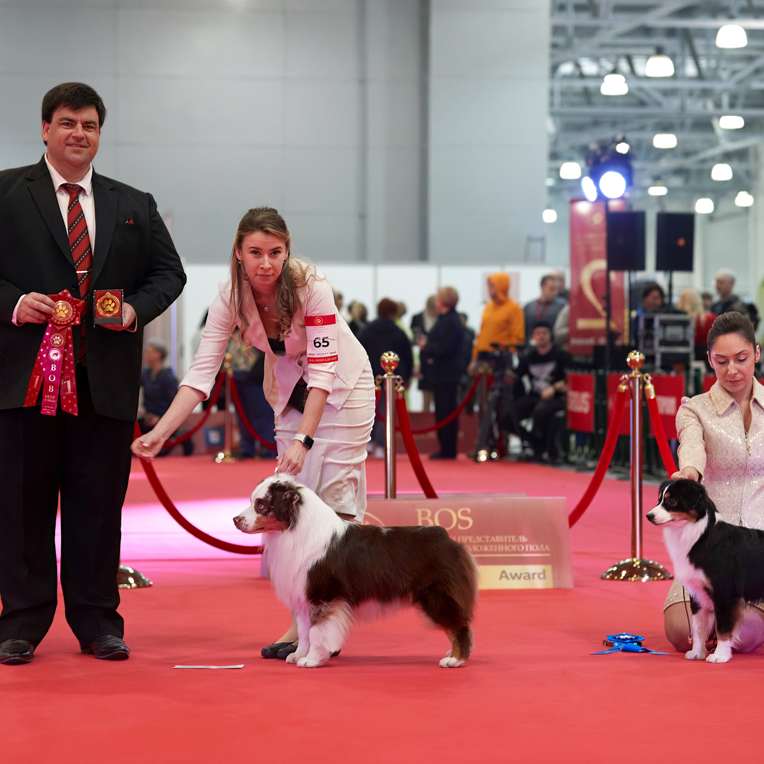 Шоу чемпионов «ЛУЧШИЕ СОБАКИ РОССИИ». ФОТОГРАФ-АНИМАЛИСТ l LANA POLYAKOVA
