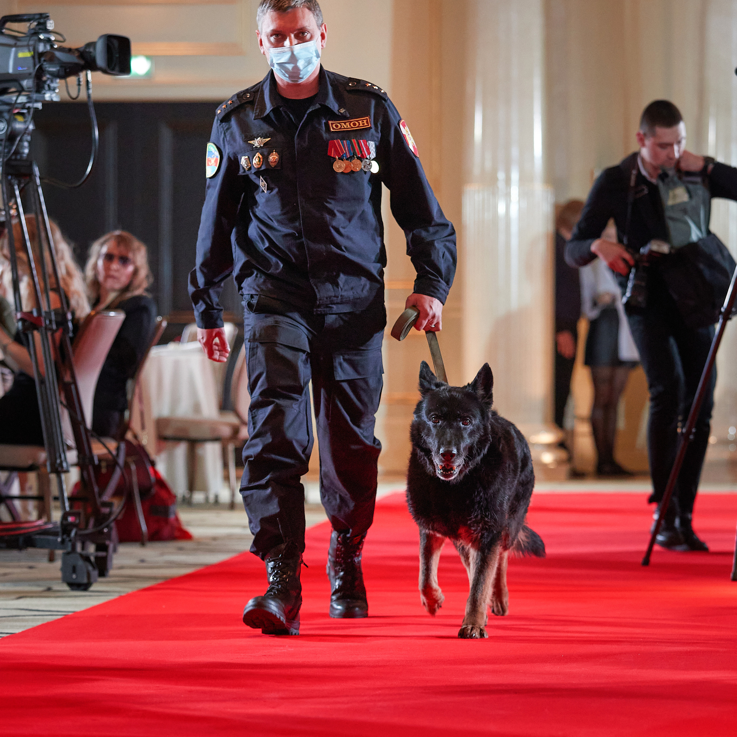 Репортаж с церемонии «BEST RUSSIAN DOG 2022». ФОТОГРАФ-АНИМАЛИСТ l LANA POLYAKOVA