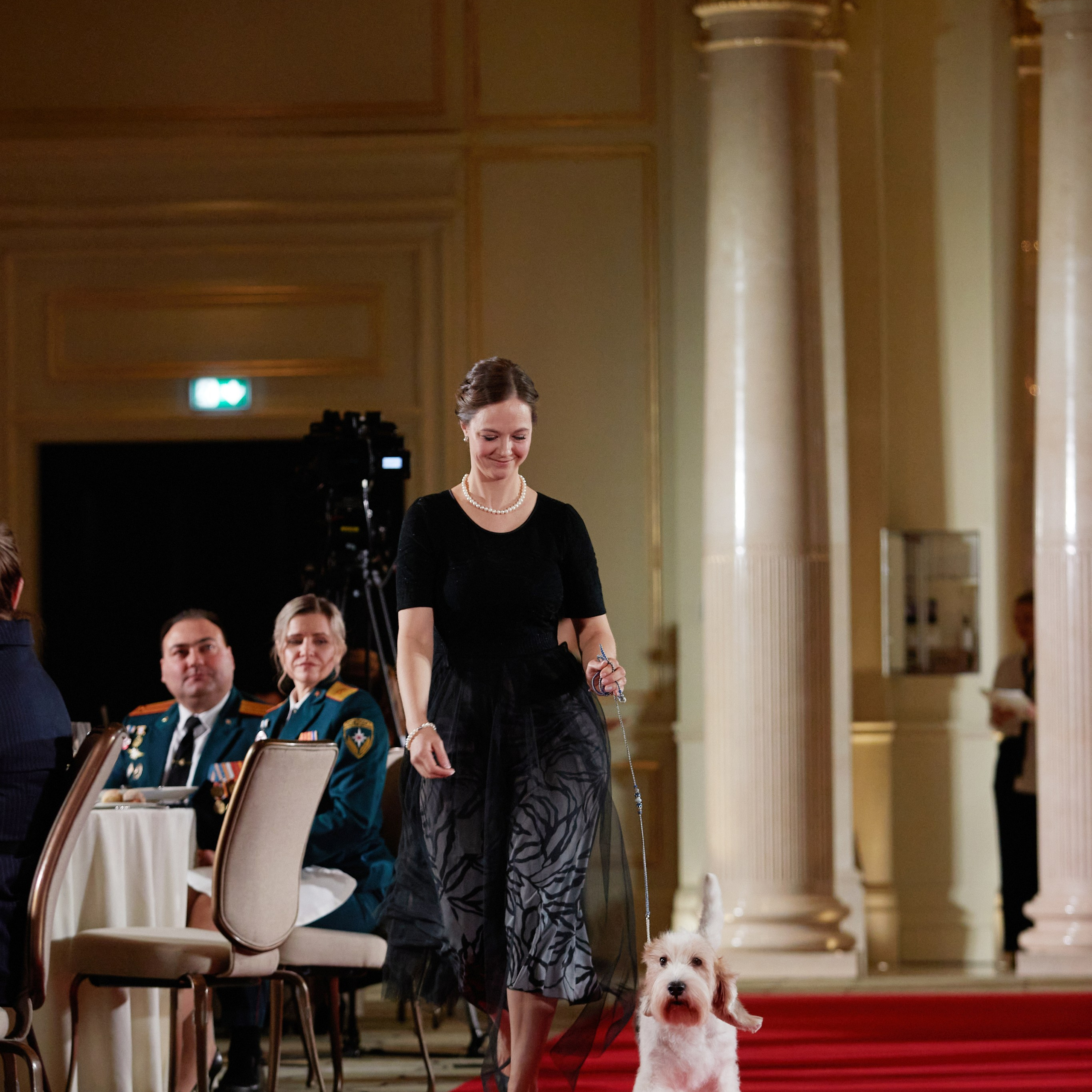 Репортаж с церемонии «BEST RUSSIAN DOG 2023». ФОТОГРАФ-АНИМАЛИСТ l LANA POLYAKOVA