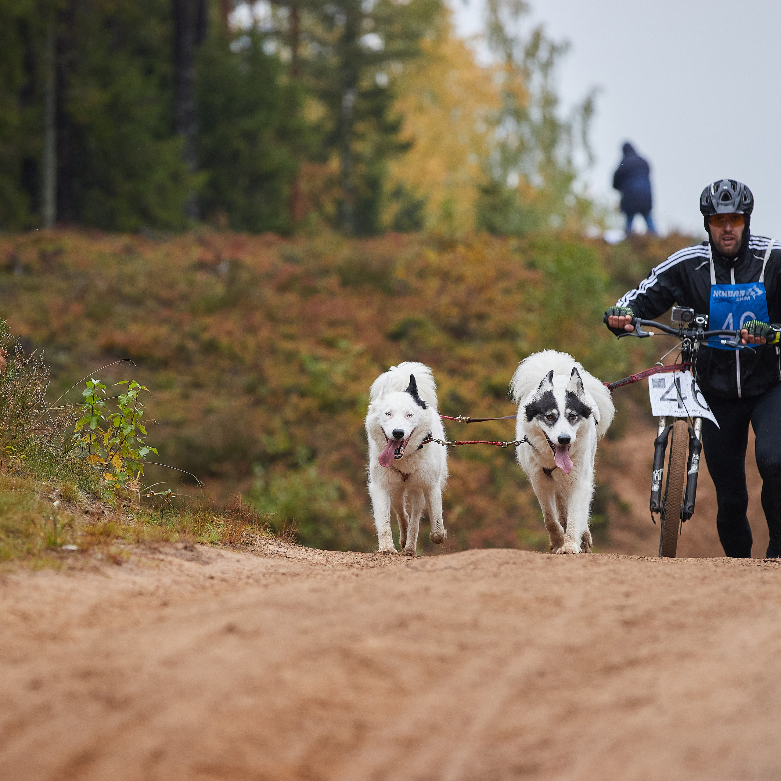 ЧЕМПИОНАТ РОССИИ РКФ 25–26 сентября 2021 г. ФОТОГРАФ-АНИМАЛИСТ l LANA POLYAKOVA