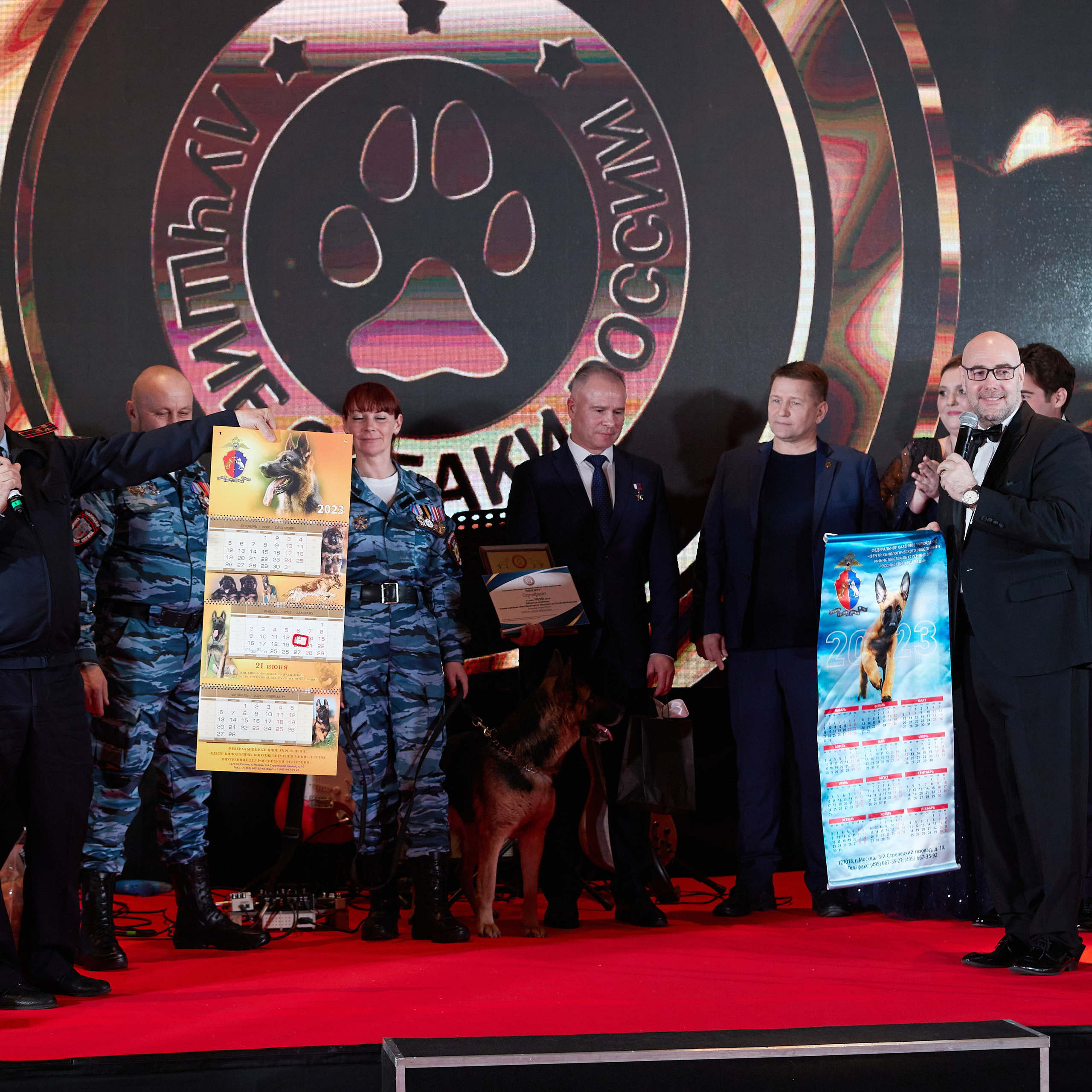 Репортаж с церемонии «BEST RUSSIAN DOG 2022». ФОТОГРАФ-АНИМАЛИСТ l LANA POLYAKOVA