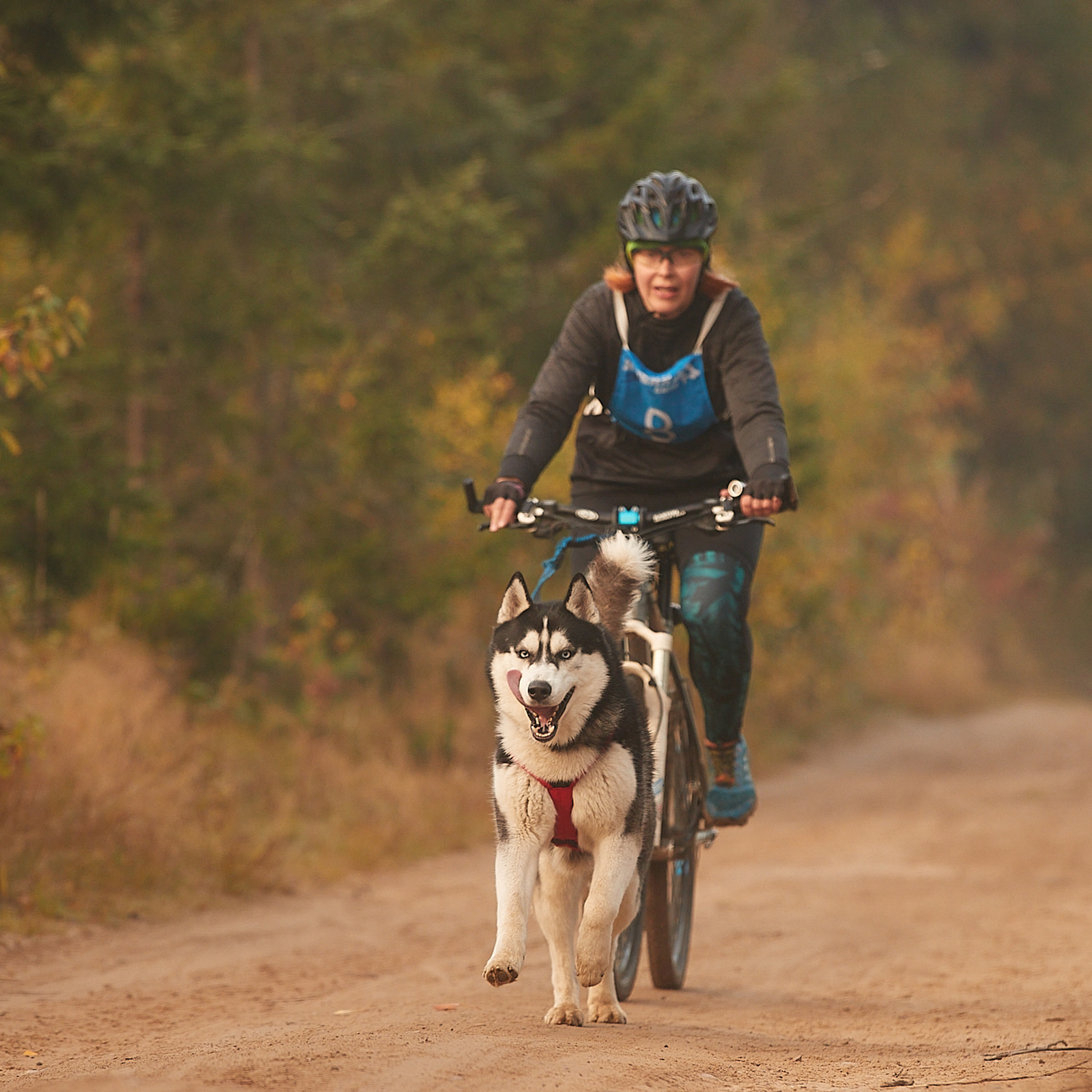 ЧЕМПИОНАТ РОССИИ РКФ 27 сентября 2020 г., 2й день. ФОТОГРАФ-АНИМАЛИСТ l LANA POLYAKOVA