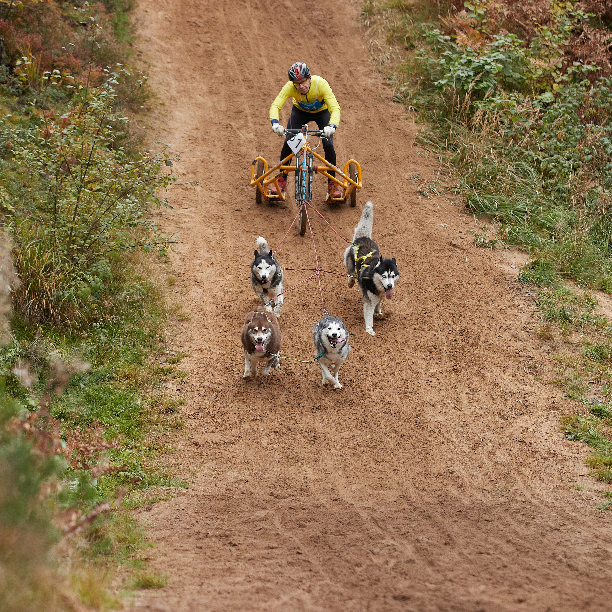 ЧЕМПИОНАТ РОССИИ РКФ 25–26 сентября 2021 г. ФОТОГРАФ-АНИМАЛИСТ l LANA POLYAKOVA