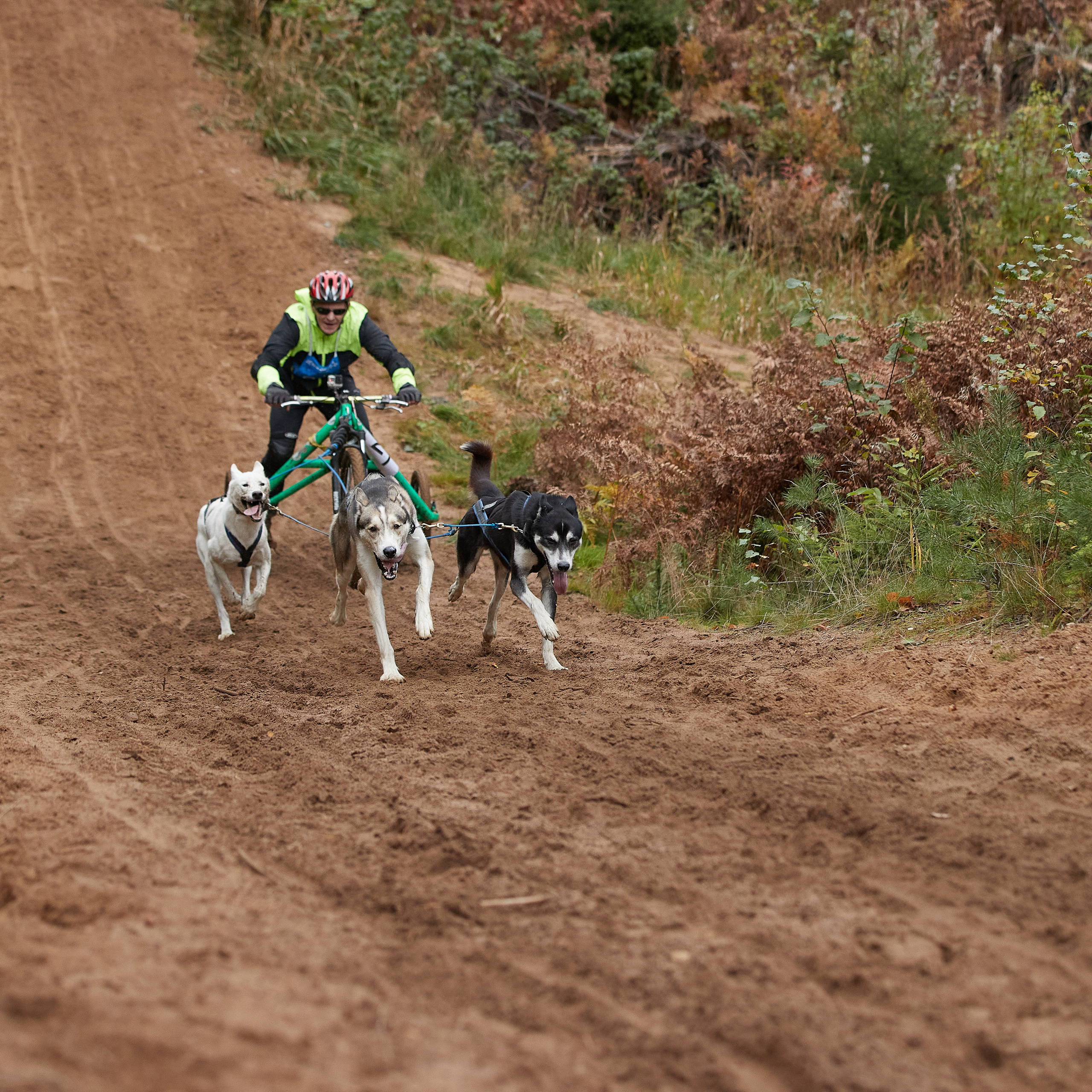 ЧЕМПИОНАТ РОССИИ РКФ 25–26 сентября 2021 г. ФОТОГРАФ-АНИМАЛИСТ l LANA POLYAKOVA