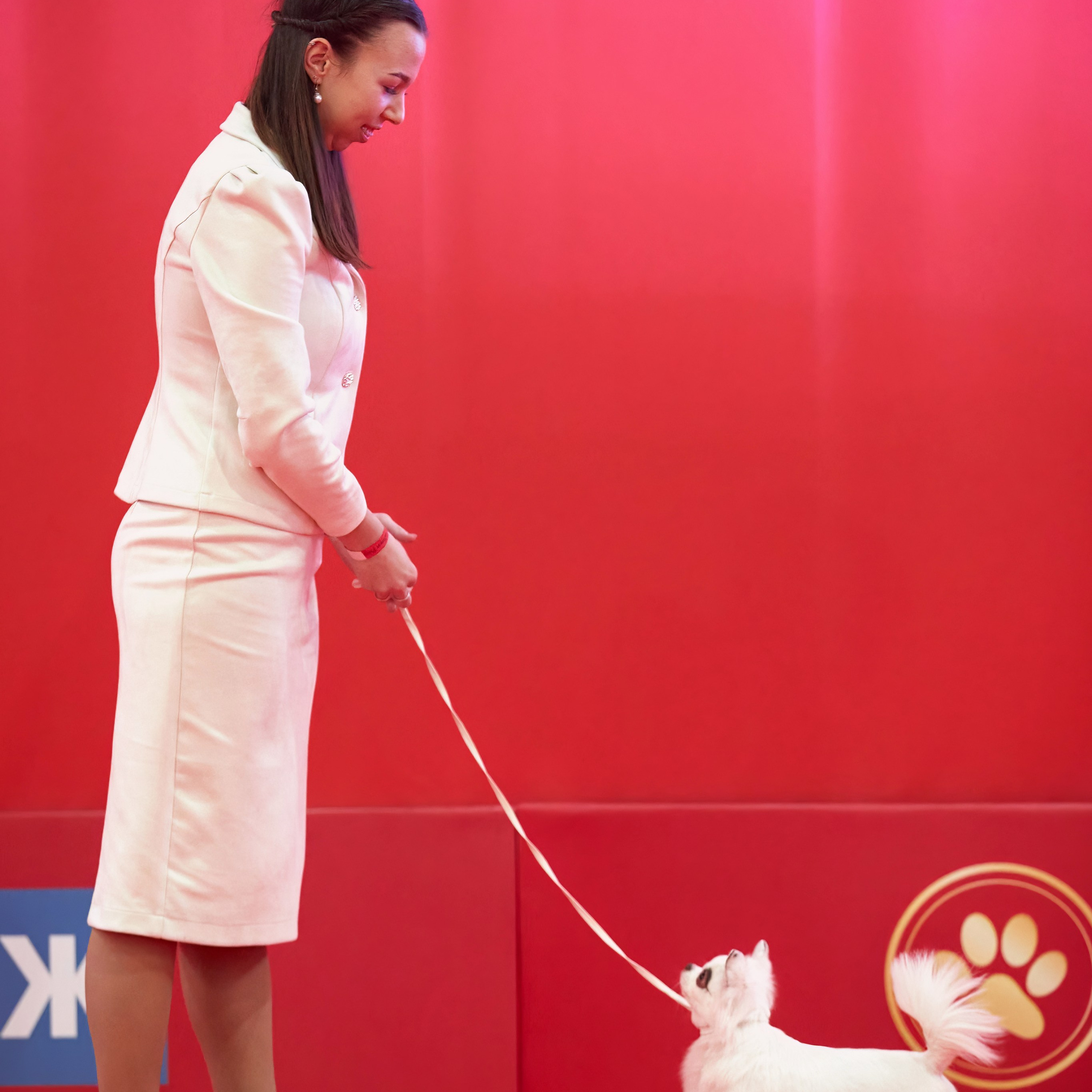 Шоу чемпионов «ЛУЧШИЕ СОБАКИ РОССИИ». ФОТОГРАФ-АНИМАЛИСТ l LANA POLYAKOVA