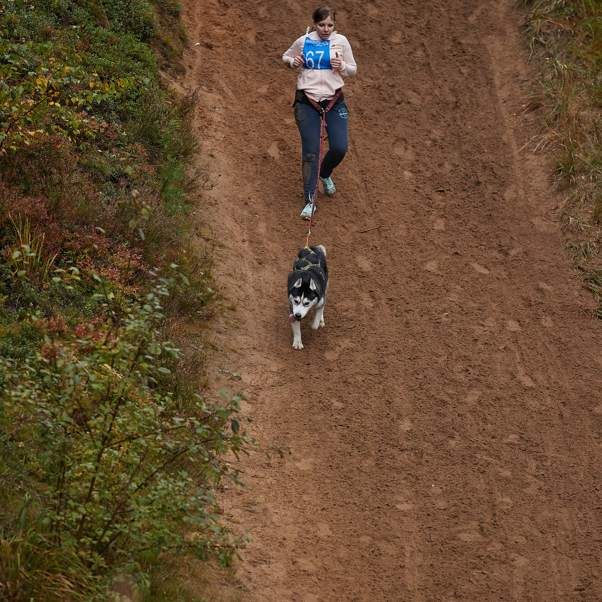 ЧЕМПИОНАТ РОССИИ РКФ 25–26 сентября 2021 г. ФОТОГРАФ-АНИМАЛИСТ l LANA POLYAKOVA