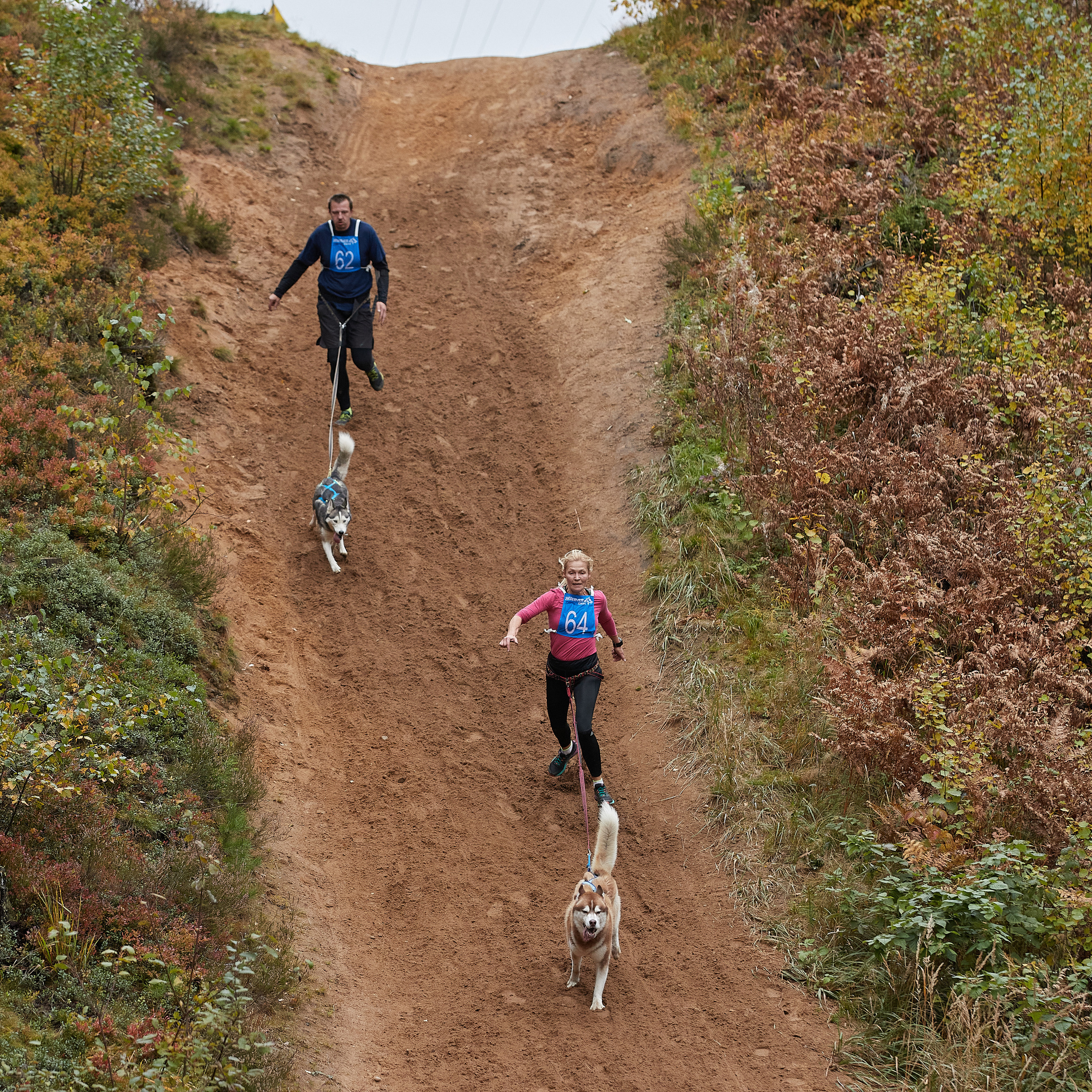 ЧЕМПИОНАТ РОССИИ РКФ 25–26 сентября 2021 г. ФОТОГРАФ-АНИМАЛИСТ l LANA POLYAKOVA