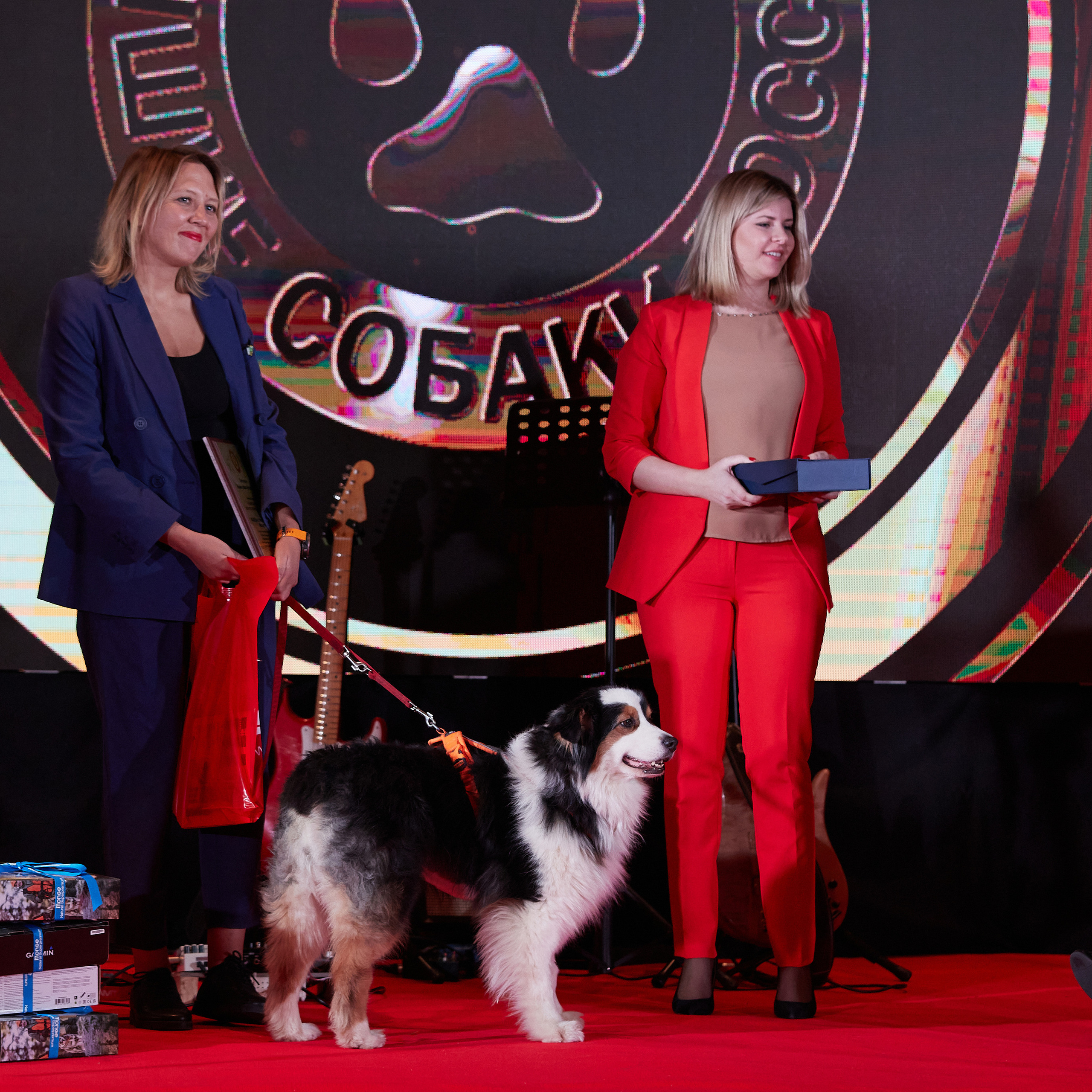 Репортаж с церемонии «BEST RUSSIAN DOG 2022». ФОТОГРАФ-АНИМАЛИСТ l LANA POLYAKOVA