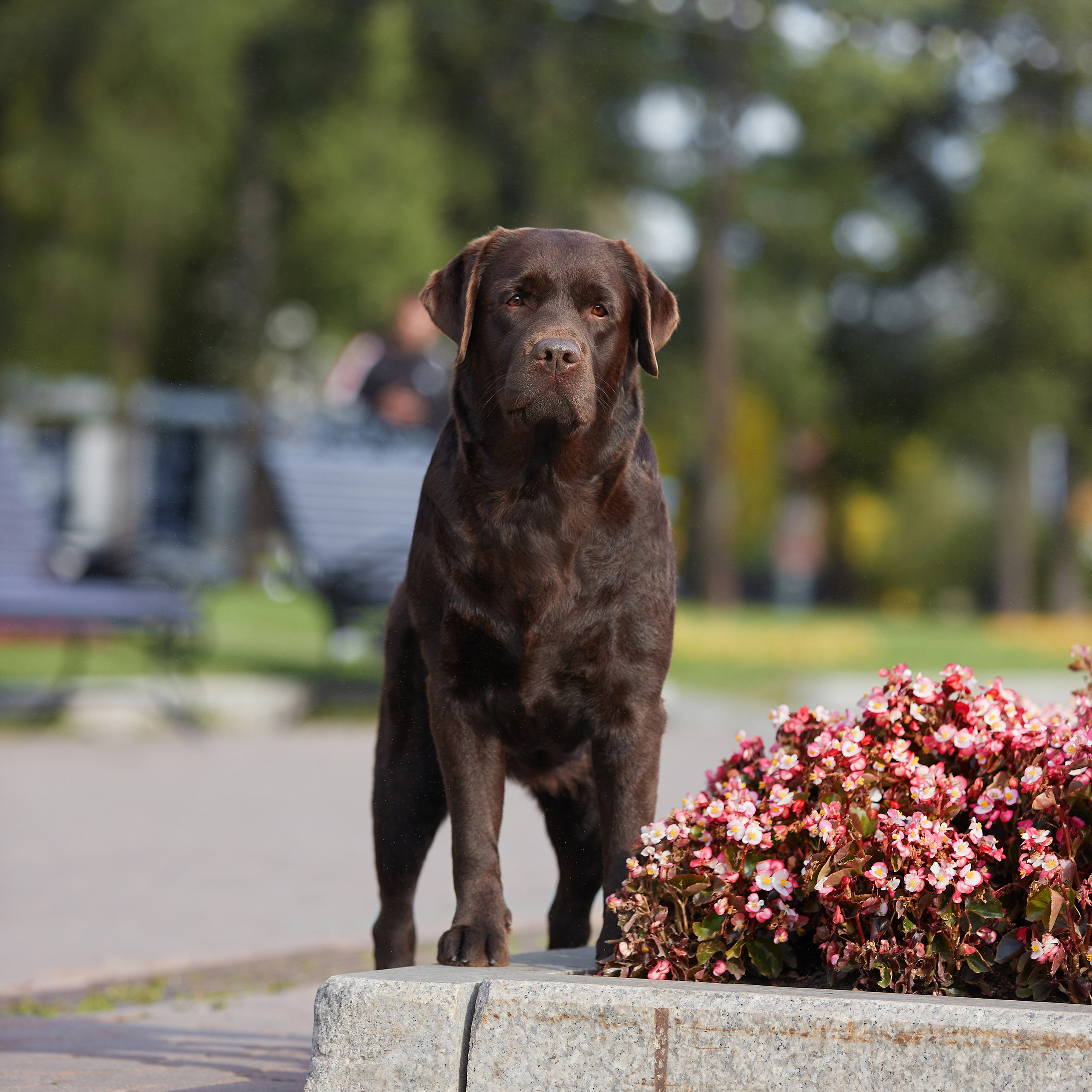 Путешествие к Байкалу. Фотосессии в Иркутске. ФОТОГРАФ-АНИМАЛИСТ l LANA POLYAKOVA