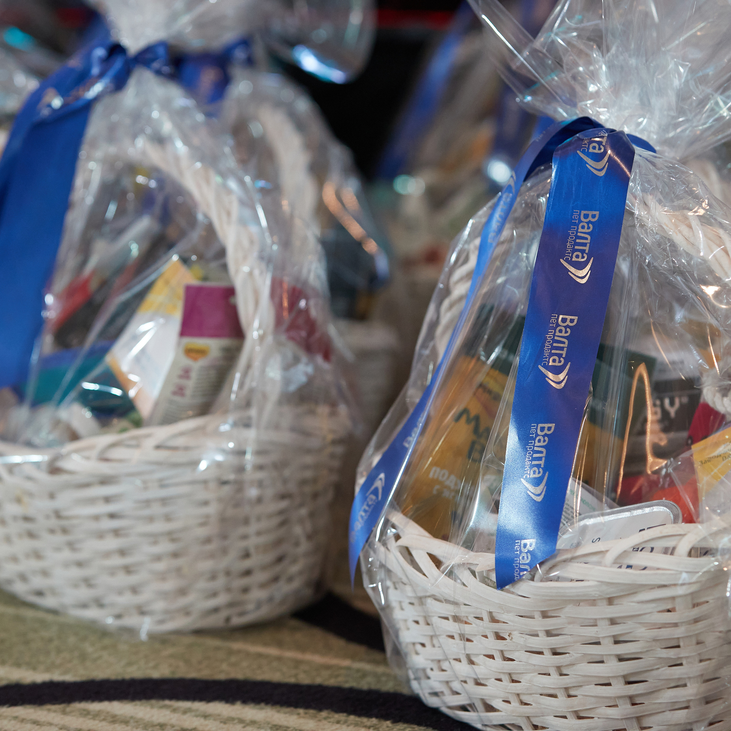 Репортаж с церемонии «BEST RUSSIAN DOG 2022». ФОТОГРАФ-АНИМАЛИСТ l LANA POLYAKOVA