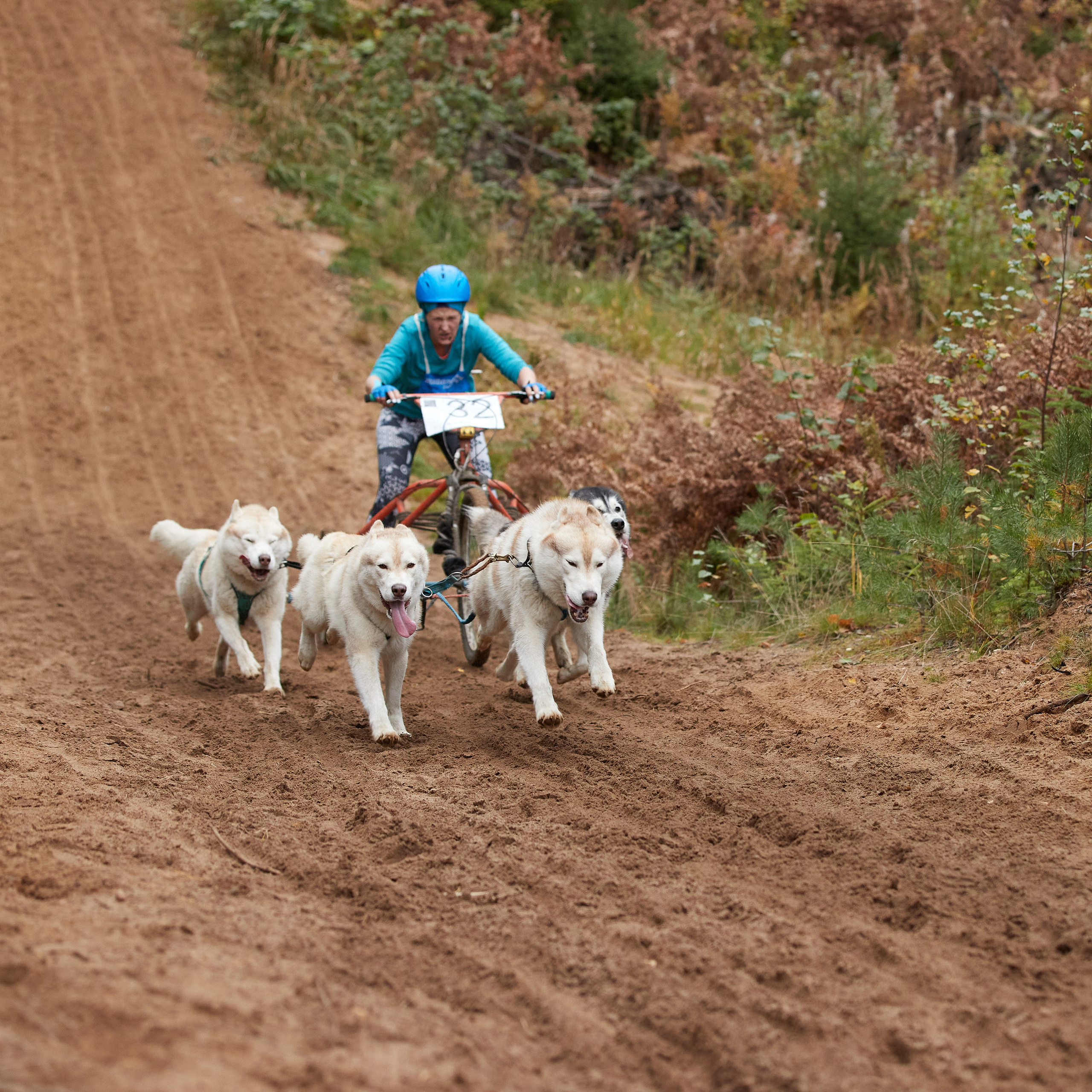 ЧЕМПИОНАТ РОССИИ РКФ 25–26 сентября 2021 г. ФОТОГРАФ-АНИМАЛИСТ l LANA POLYAKOVA