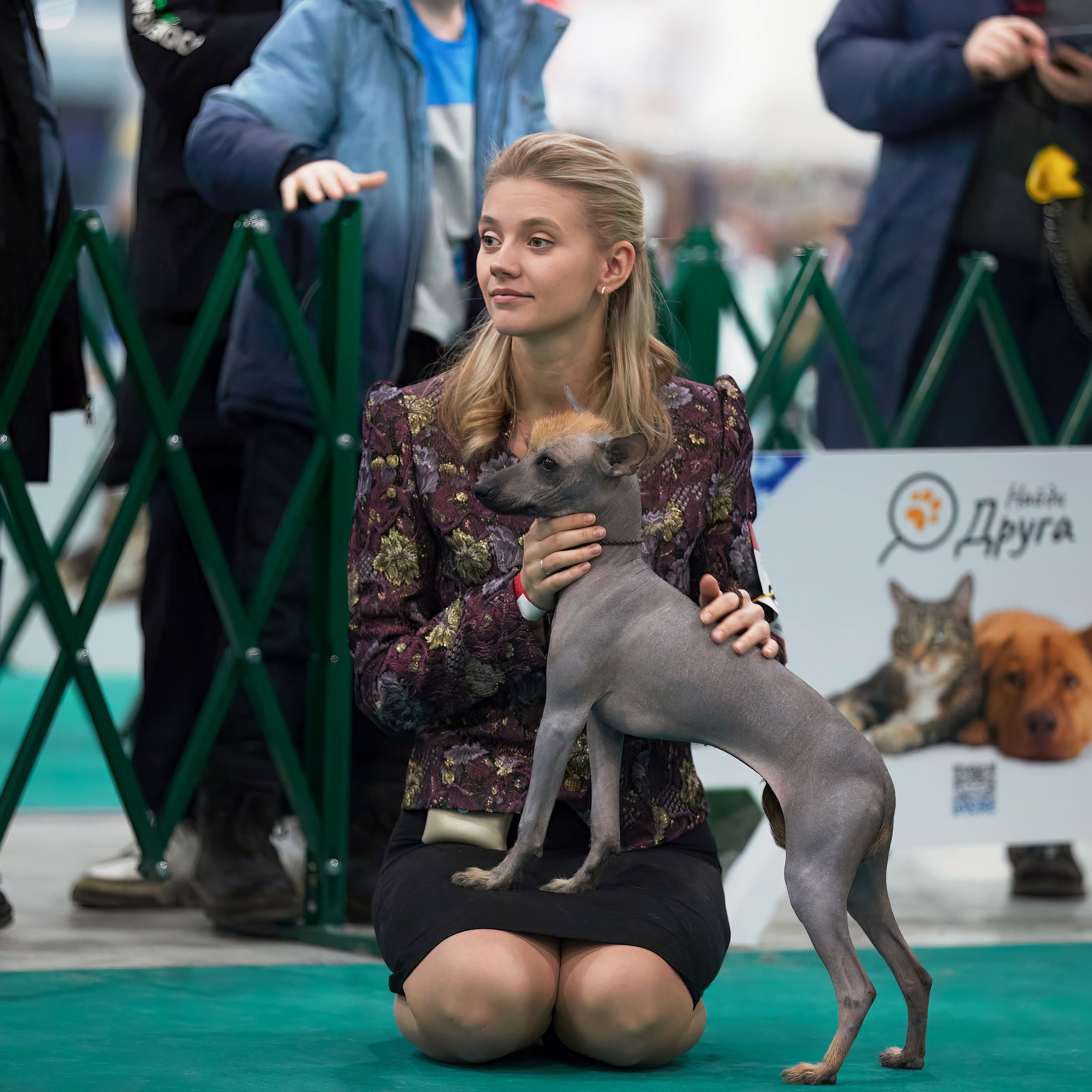 Шоу чемпионов «ЛУЧШИЕ СОБАКИ РОССИИ». ФОТОГРАФ-АНИМАЛИСТ l LANA POLYAKOVA