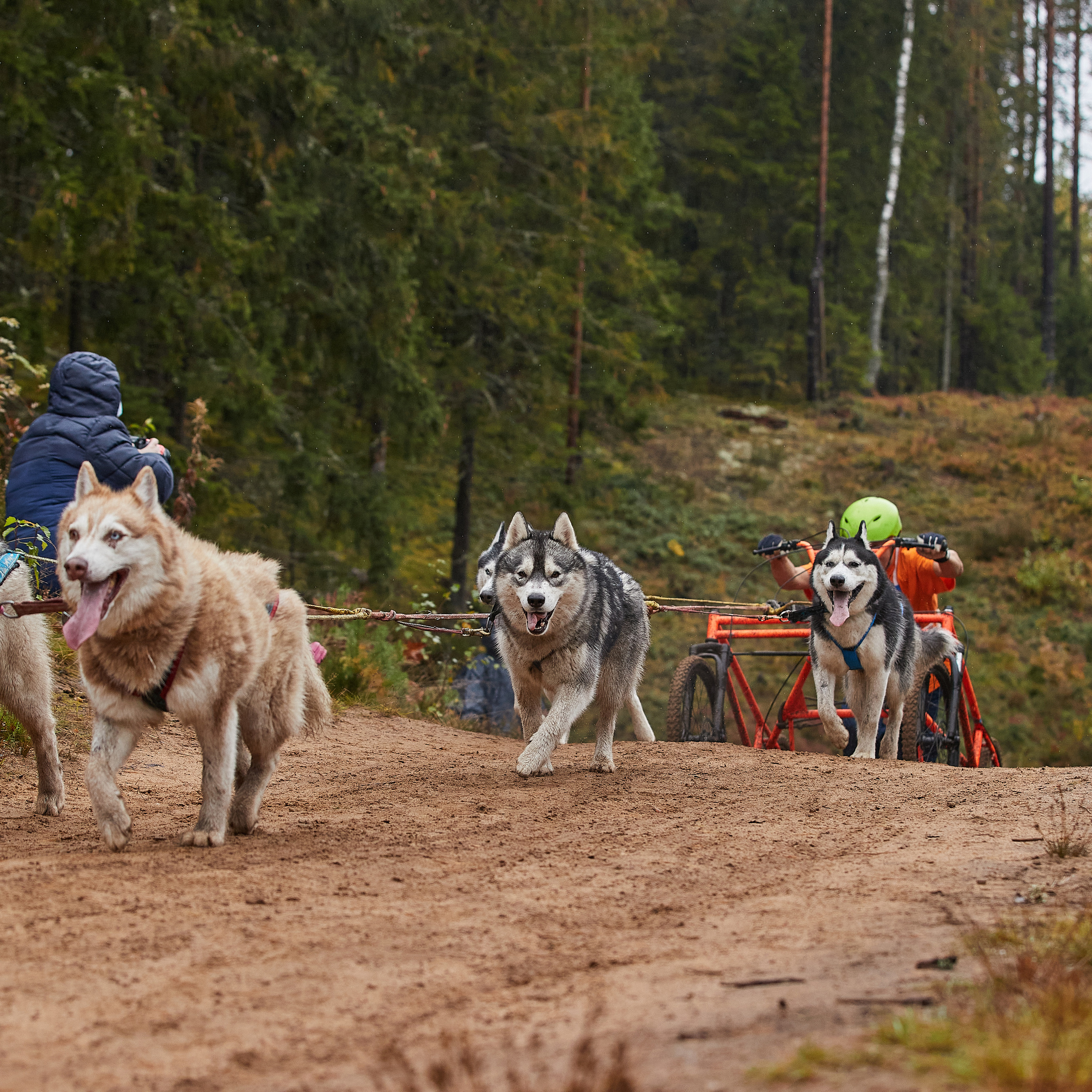 ЧЕМПИОНАТ РОССИИ РКФ 25–26 сентября 2021 г. ФОТОГРАФ-АНИМАЛИСТ l LANA POLYAKOVA