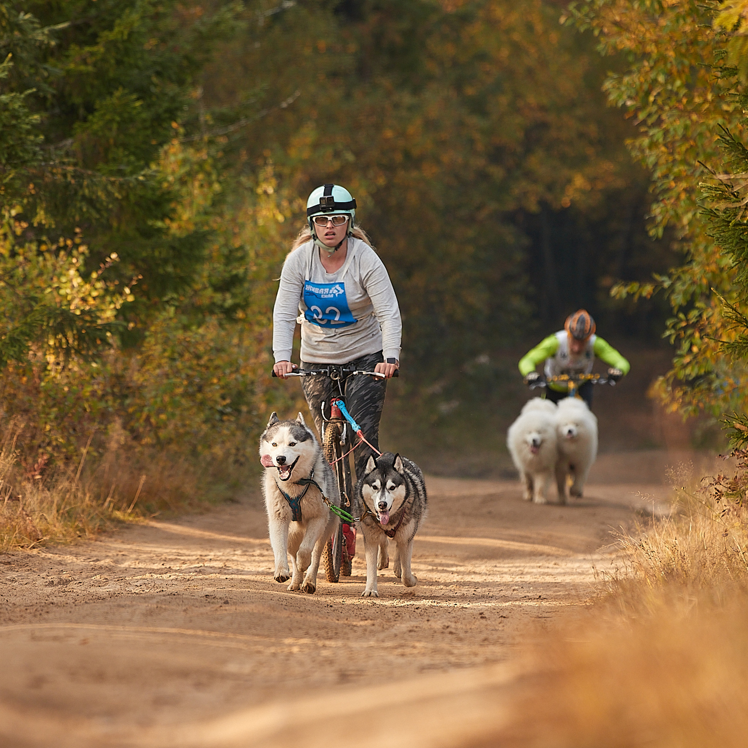 ЧЕМПИОНАТ РОССИИ РКФ 27 сентября 2020 г., 2й день. ФОТОГРАФ-АНИМАЛИСТ l LANA POLYAKOVA