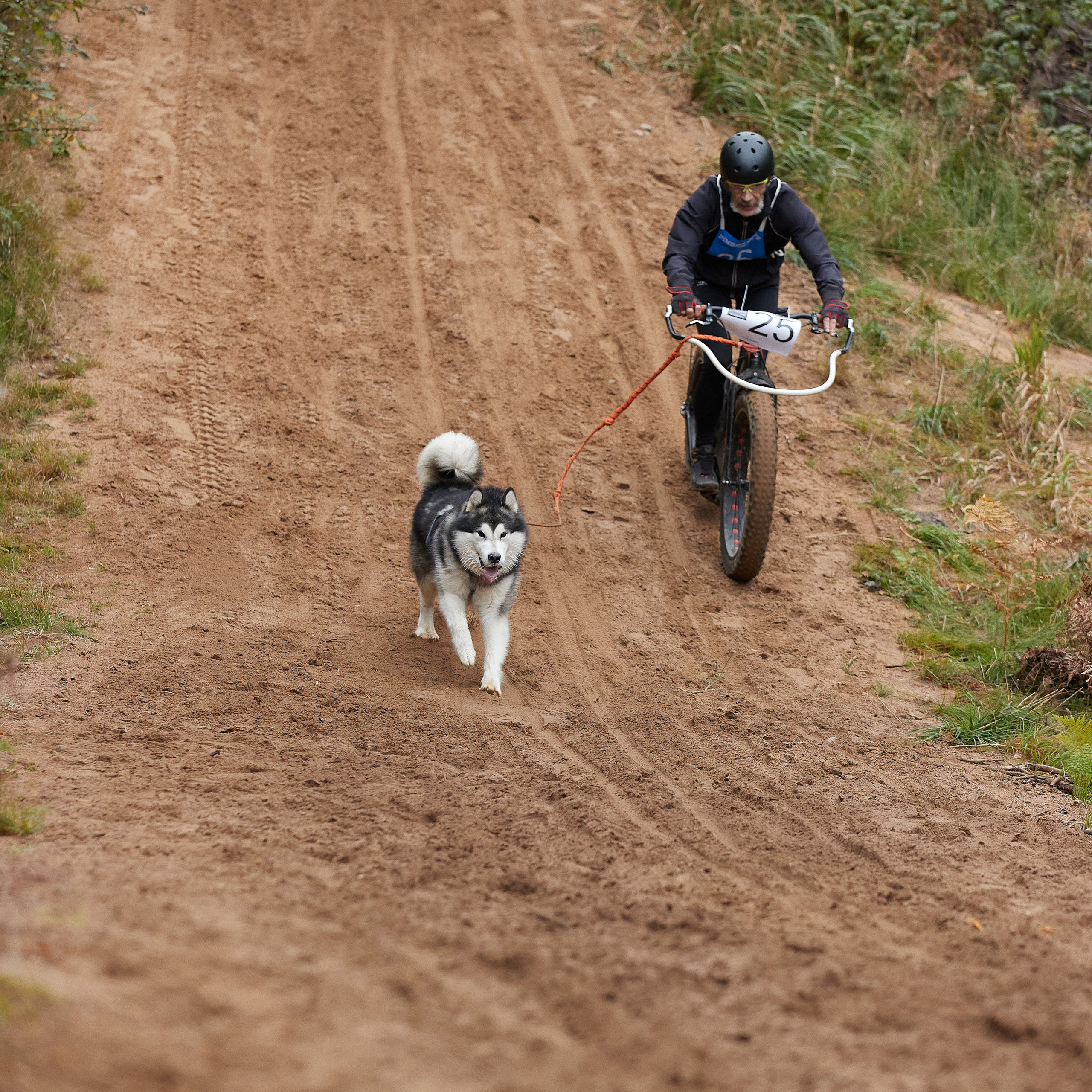 ЧЕМПИОНАТ РОССИИ РКФ 25–26 сентября 2021 г. ФОТОГРАФ-АНИМАЛИСТ l LANA POLYAKOVA