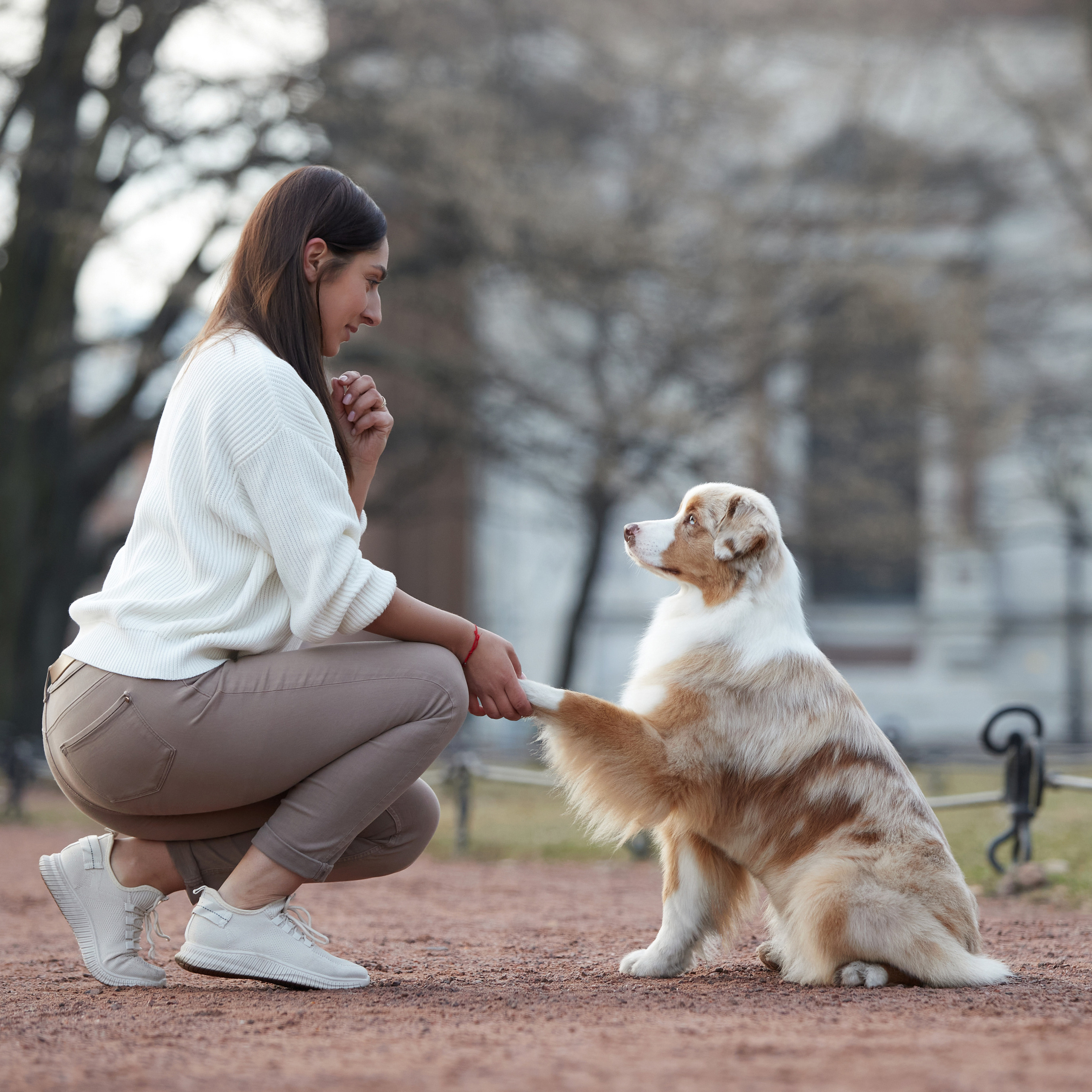 Большая рассветно-закатная съемка. ФОТОГРАФ-АНИМАЛИСТ l LANA POLYAKOVA