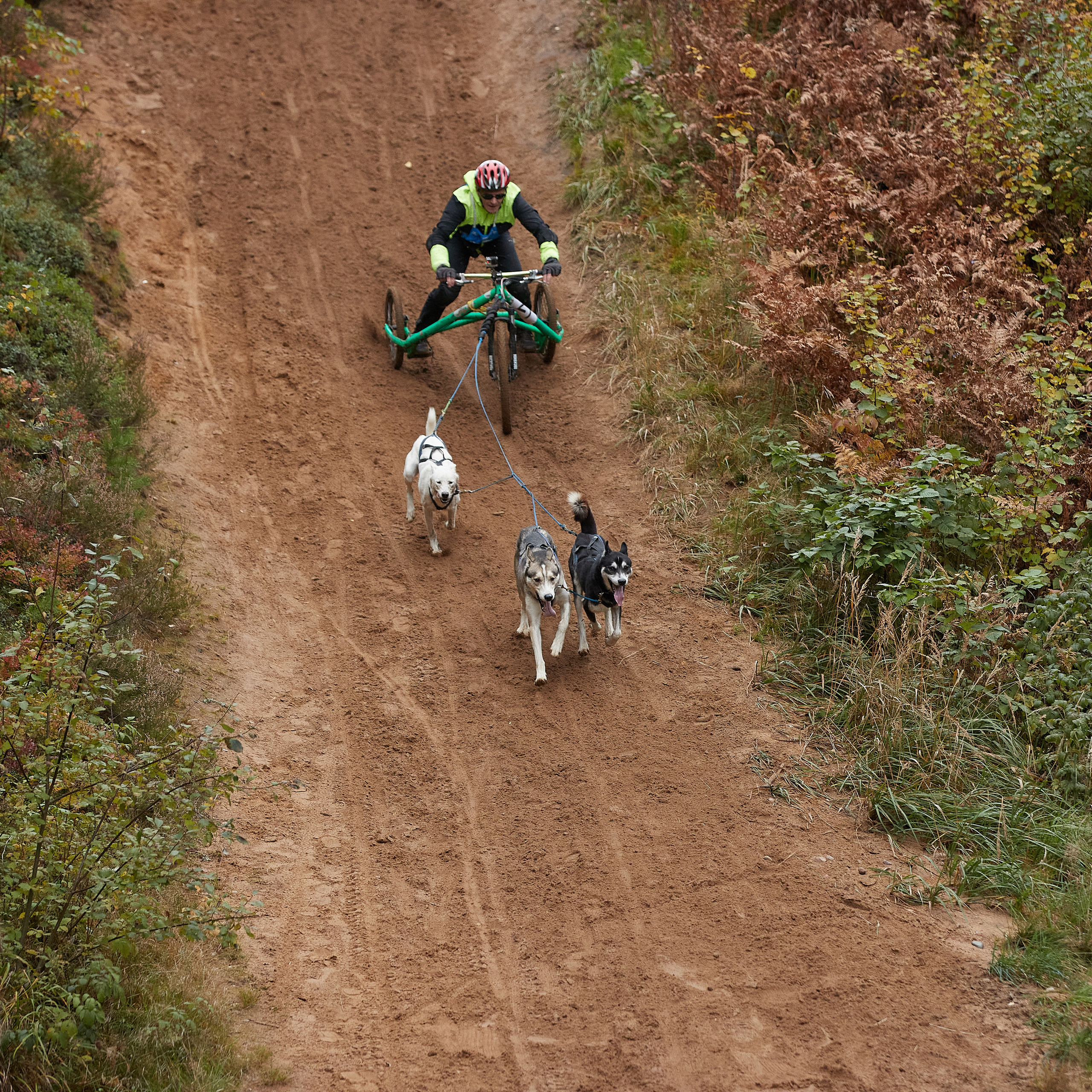 ЧЕМПИОНАТ РОССИИ РКФ 25–26 сентября 2021 г. ФОТОГРАФ-АНИМАЛИСТ l LANA POLYAKOVA