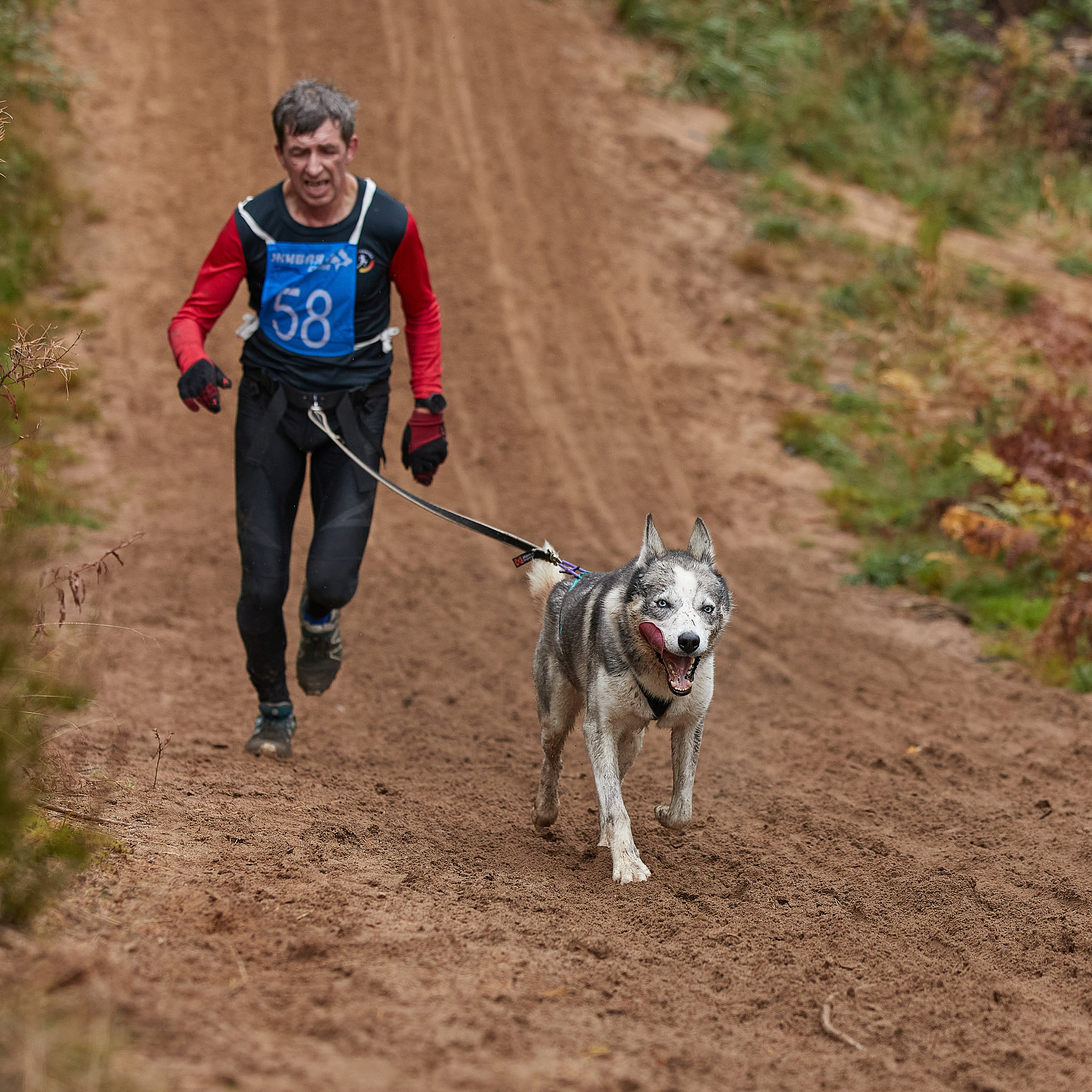 ЧЕМПИОНАТ РОССИИ РКФ 25–26 сентября 2021 г. ФОТОГРАФ-АНИМАЛИСТ l LANA POLYAKOVA
