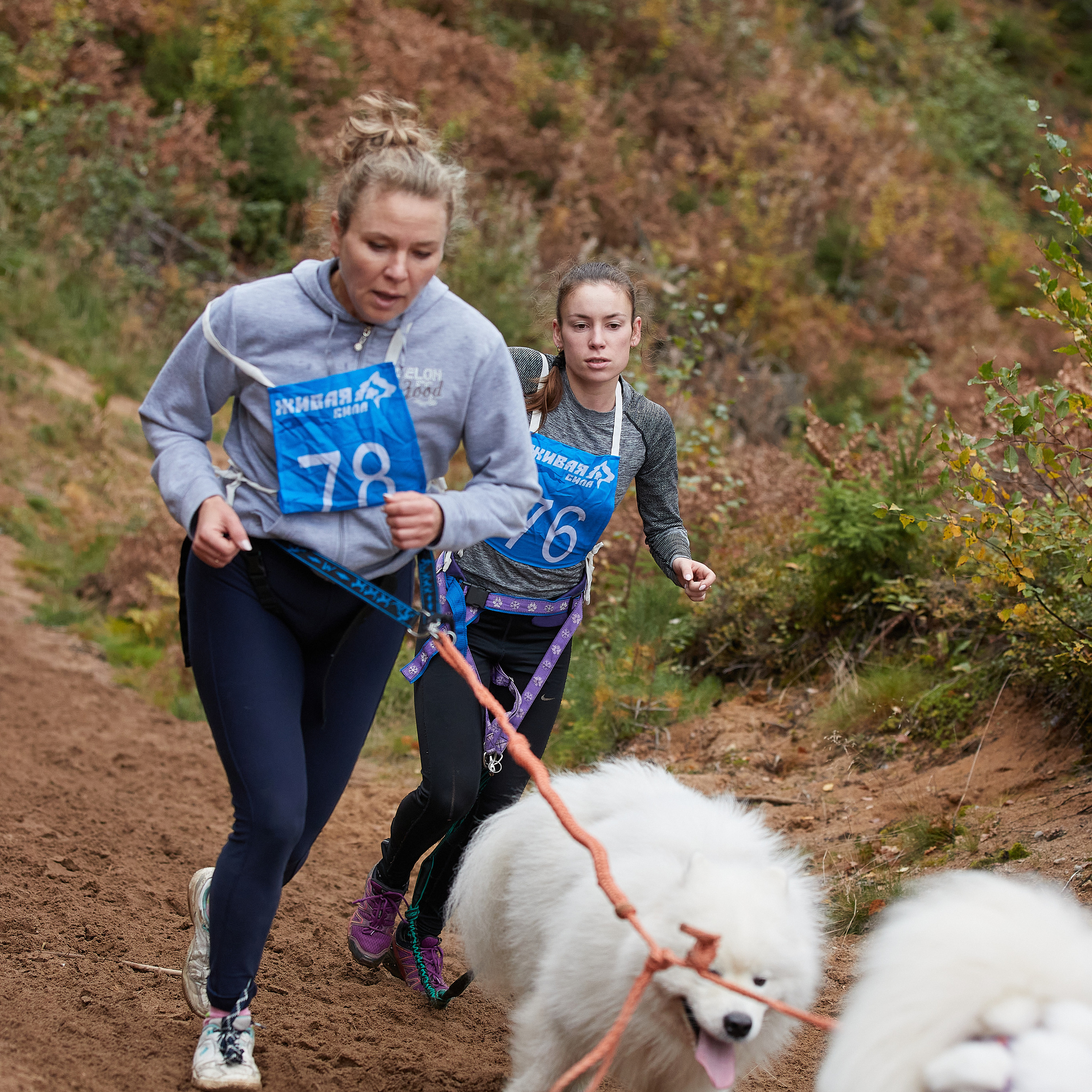 ЧЕМПИОНАТ РОССИИ РКФ 25–26 сентября 2021 г. ФОТОГРАФ-АНИМАЛИСТ l LANA POLYAKOVA