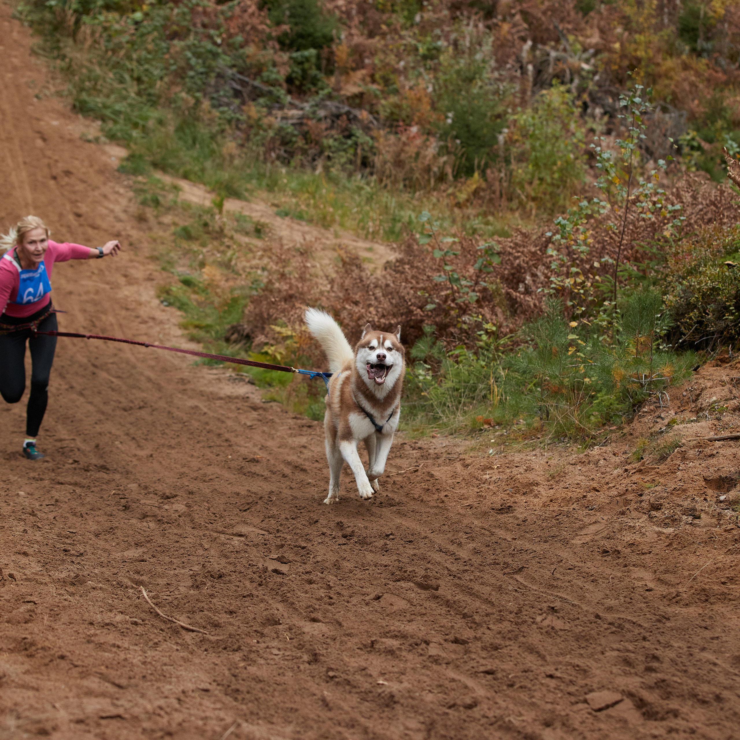 ЧЕМПИОНАТ РОССИИ РКФ 25–26 сентября 2021 г. ФОТОГРАФ-АНИМАЛИСТ l LANA POLYAKOVA