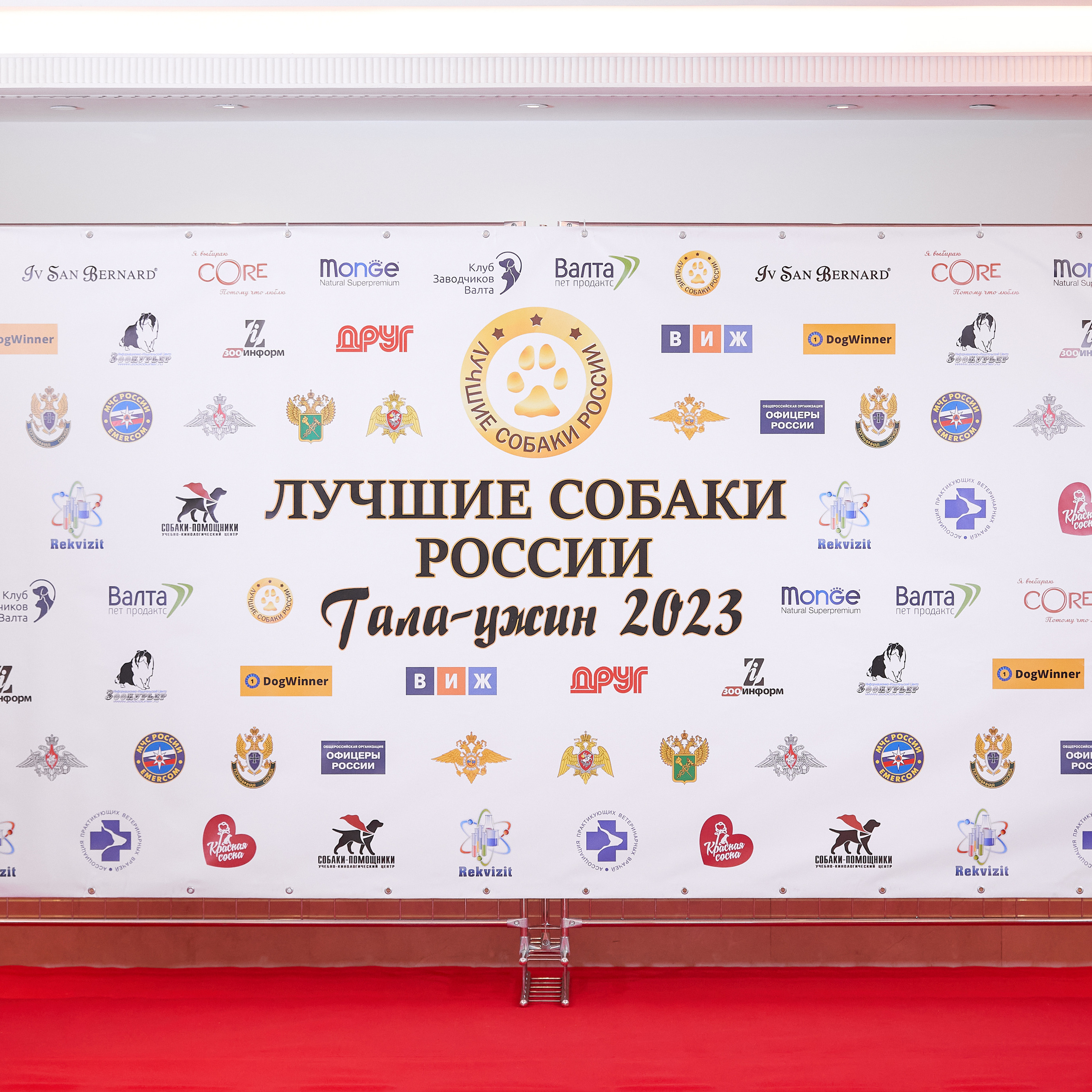 Репортаж с церемонии «BEST RUSSIAN DOG 2022». ФОТОГРАФ-АНИМАЛИСТ l LANA POLYAKOVA