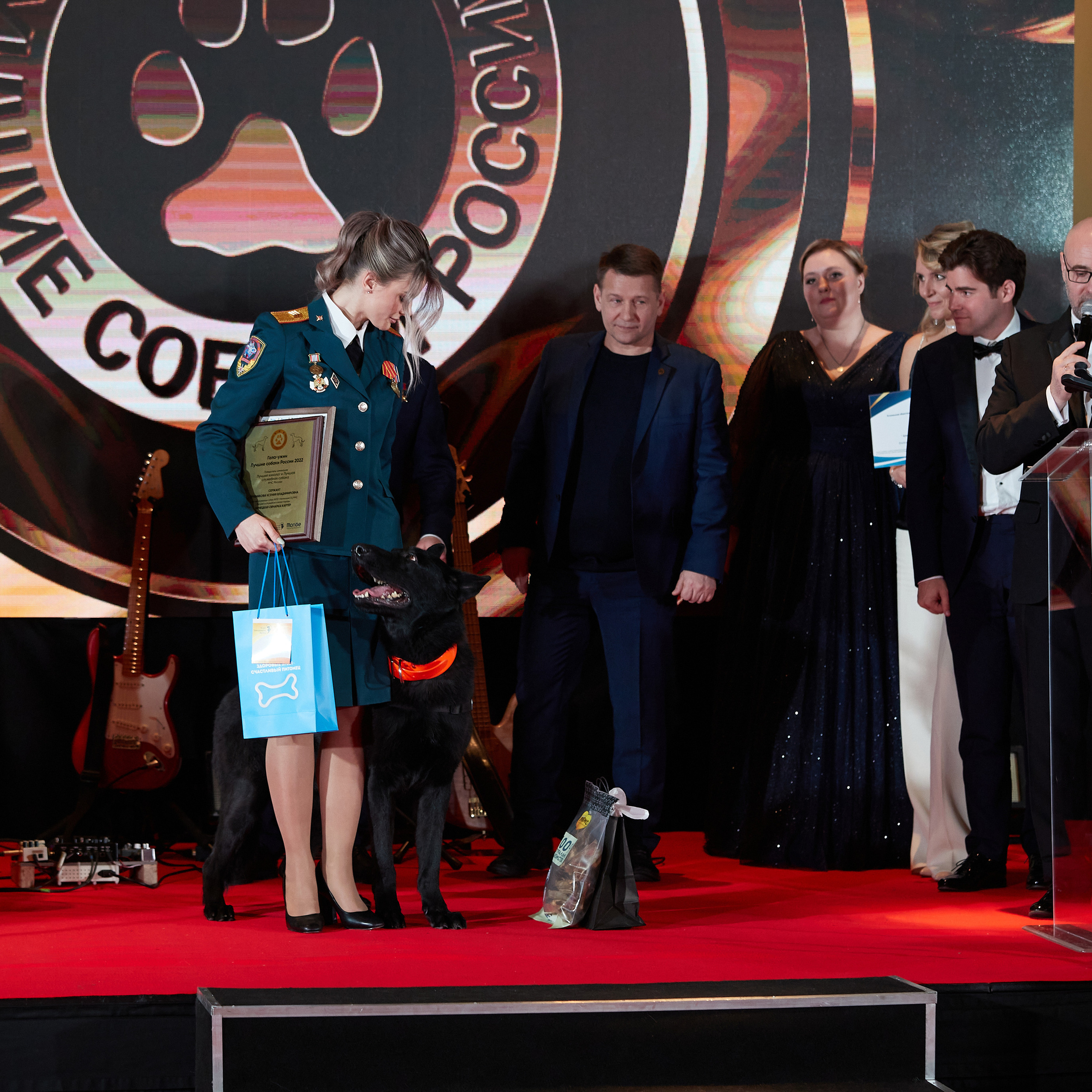 Репортаж с церемонии «BEST RUSSIAN DOG 2022». ФОТОГРАФ-АНИМАЛИСТ l LANA POLYAKOVA