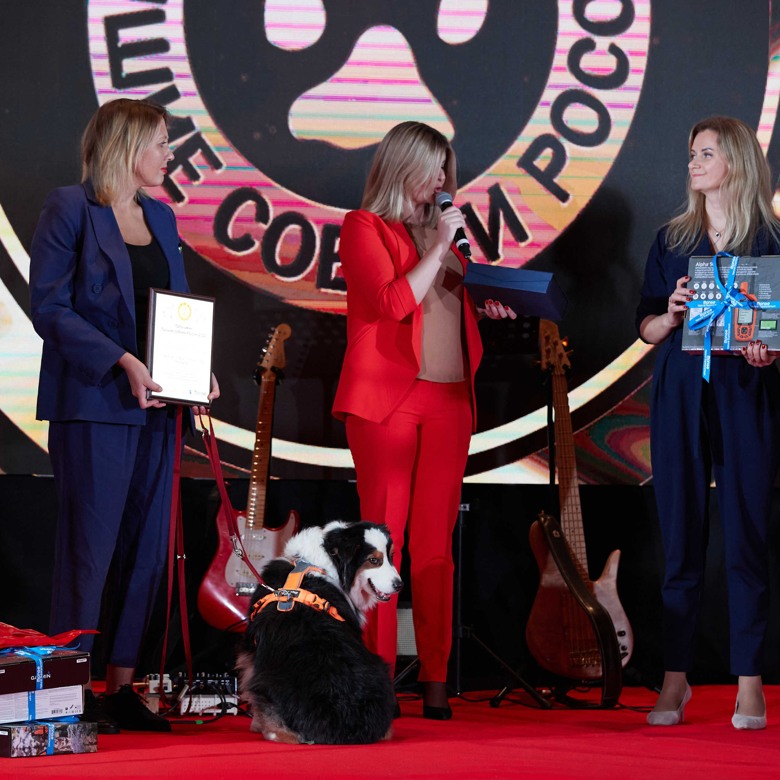 Репортаж с церемонии «BEST RUSSIAN DOG 2022». ФОТОГРАФ-АНИМАЛИСТ l LANA POLYAKOVA