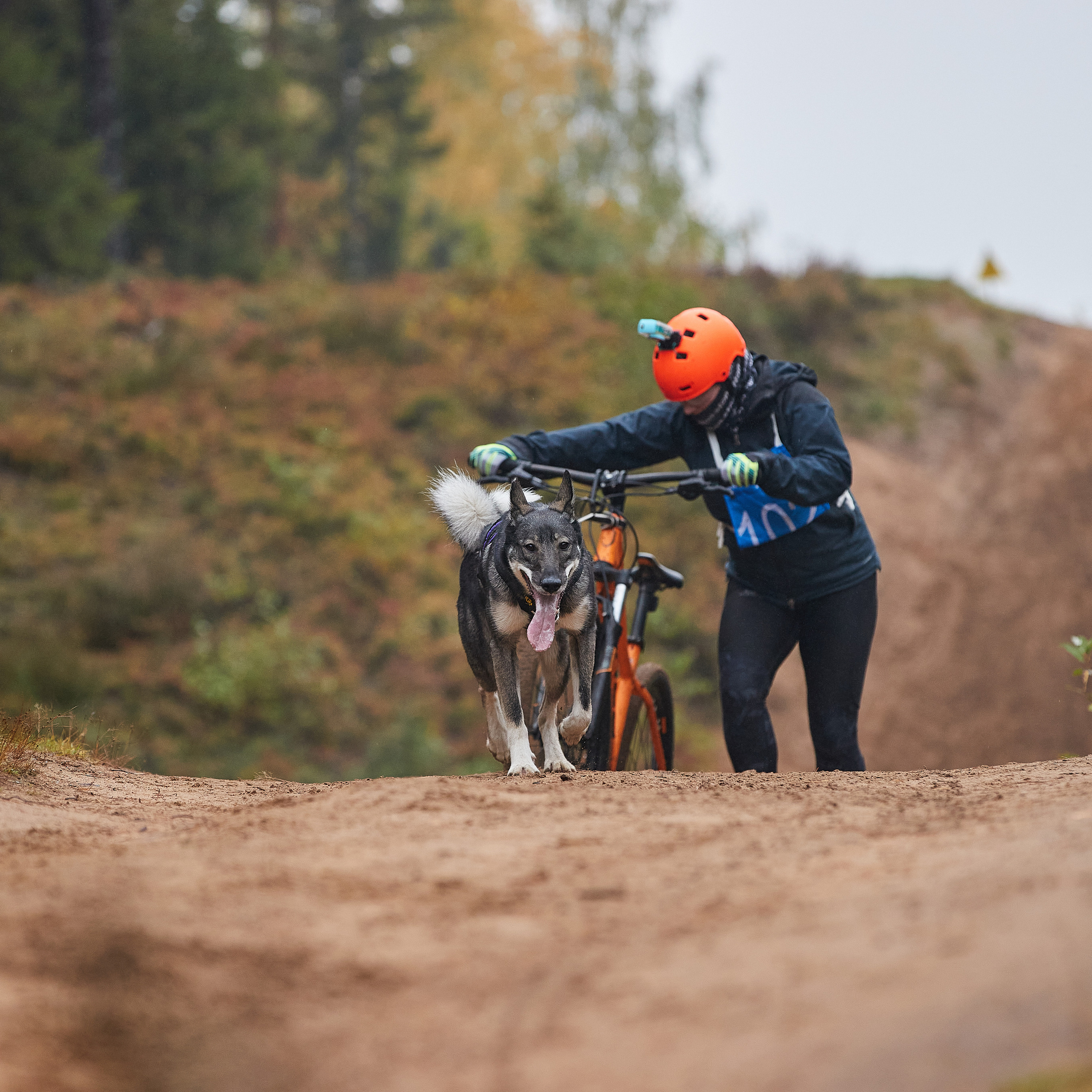ЧЕМПИОНАТ РОССИИ РКФ 25–26 сентября 2021 г. ФОТОГРАФ-АНИМАЛИСТ l LANA POLYAKOVA