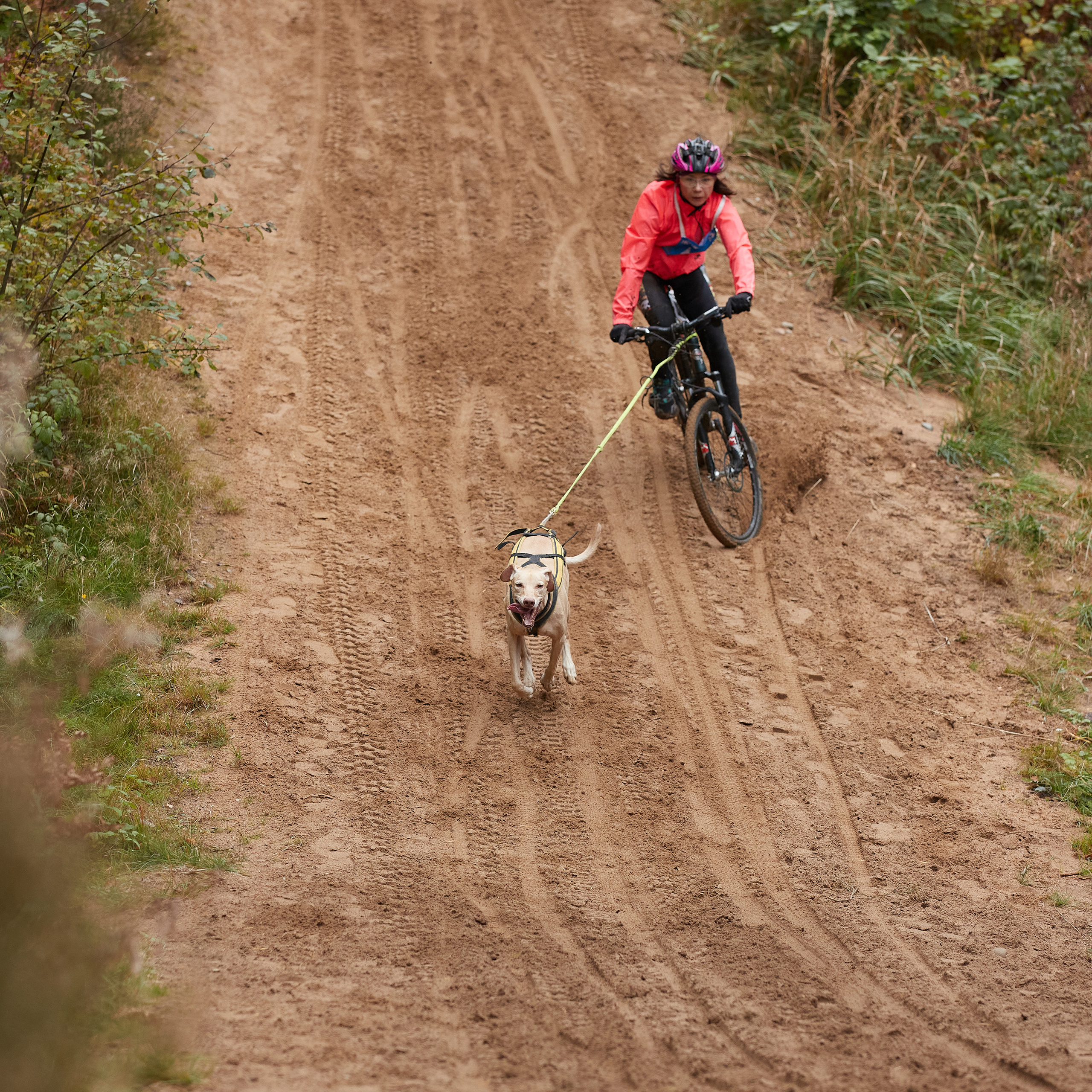 ЧЕМПИОНАТ РОССИИ РКФ 25–26 сентября 2021 г. ФОТОГРАФ-АНИМАЛИСТ l LANA POLYAKOVA