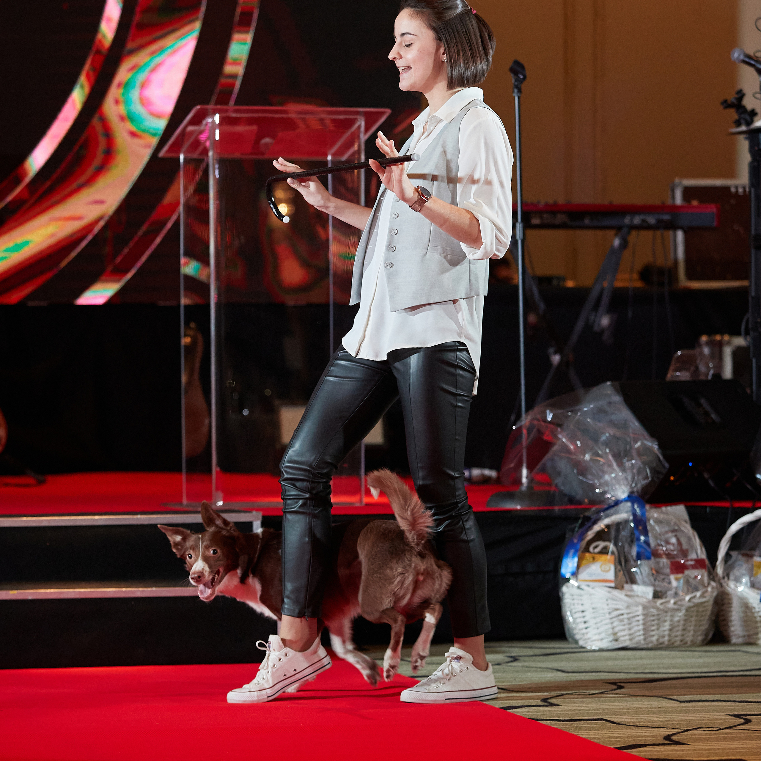 Репортаж с церемонии «BEST RUSSIAN DOG 2022». ФОТОГРАФ-АНИМАЛИСТ l LANA POLYAKOVA