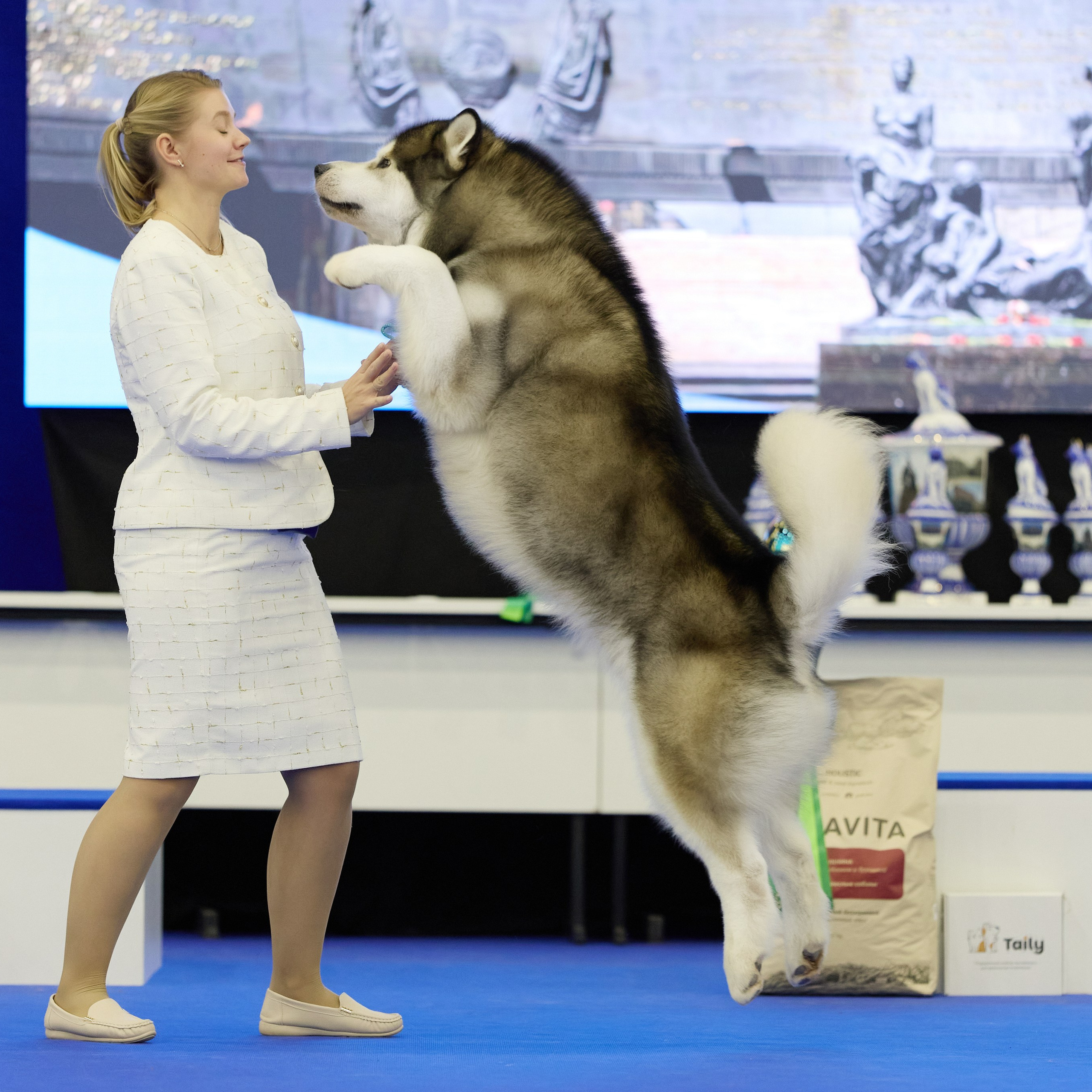 ВЫСТАВКА СОБАК С ОСОБЫМ СТАТУСОМ «НЕВСКИЙ ПОБЕДИТЕЛЬ» 12-13-14.12.2025. ФОТОГРАФ-АНИМАЛИСТ l LANA POLYAKOVA