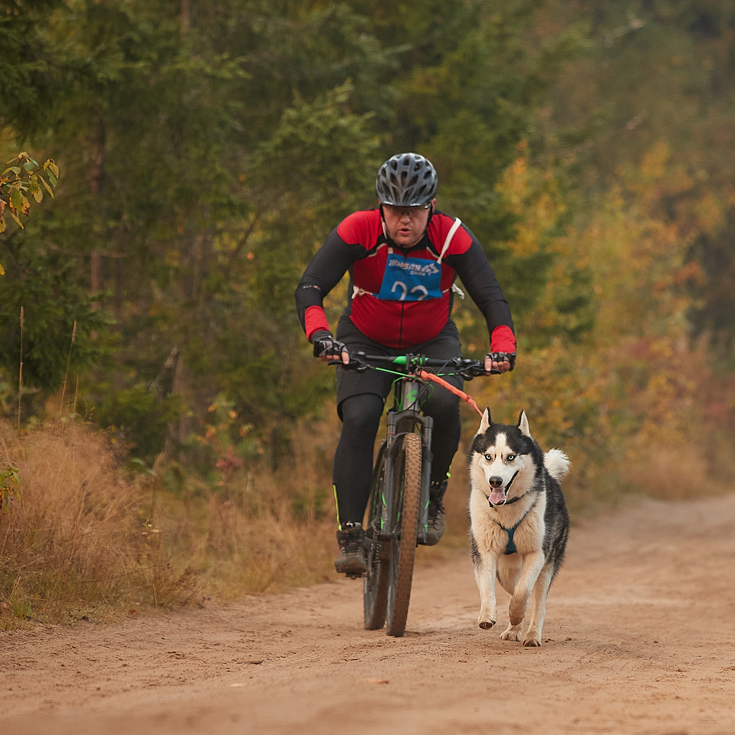 ЧЕМПИОНАТ РОССИИ РКФ 27 сентября 2020 г., 2й день. ФОТОГРАФ-АНИМАЛИСТ l LANA POLYAKOVA